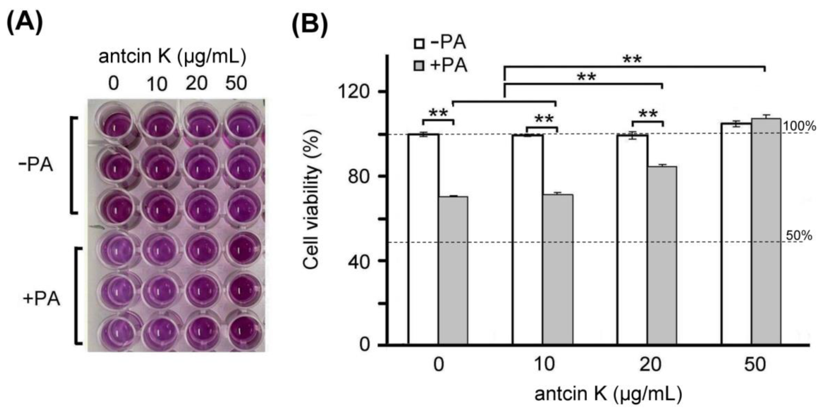 Plants 11 02812 g004 Plants 11 02812 g004