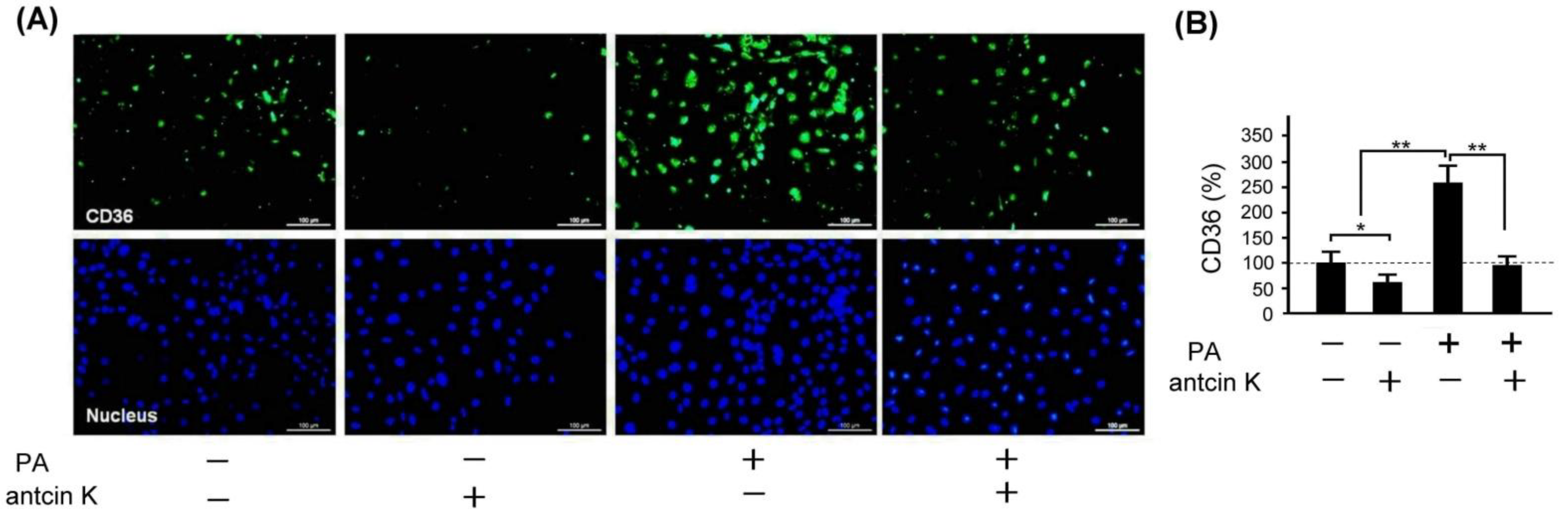 Plants 11 02812 g009 Plants 11 02812 g009