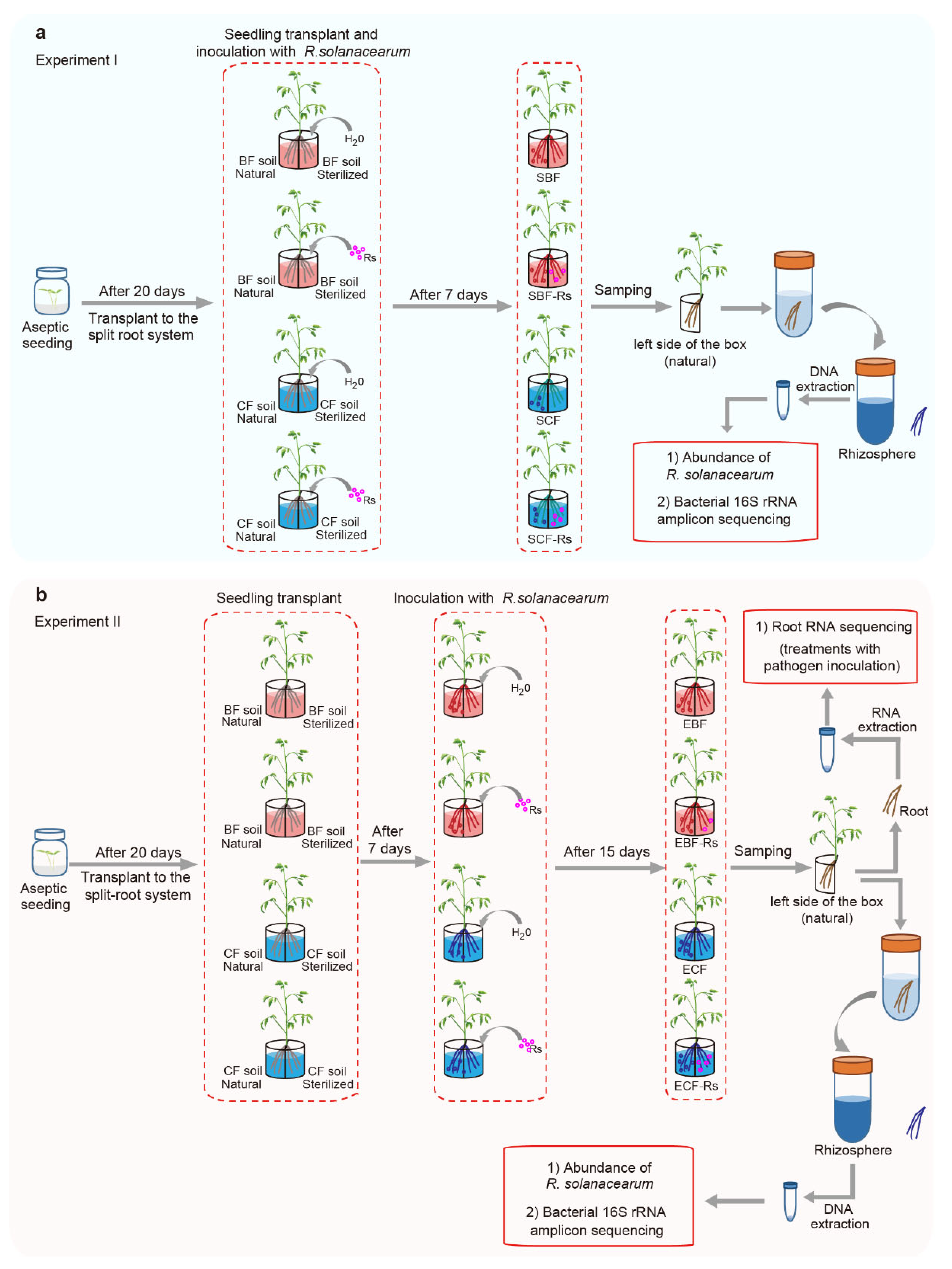 Plants 11 02816 g001