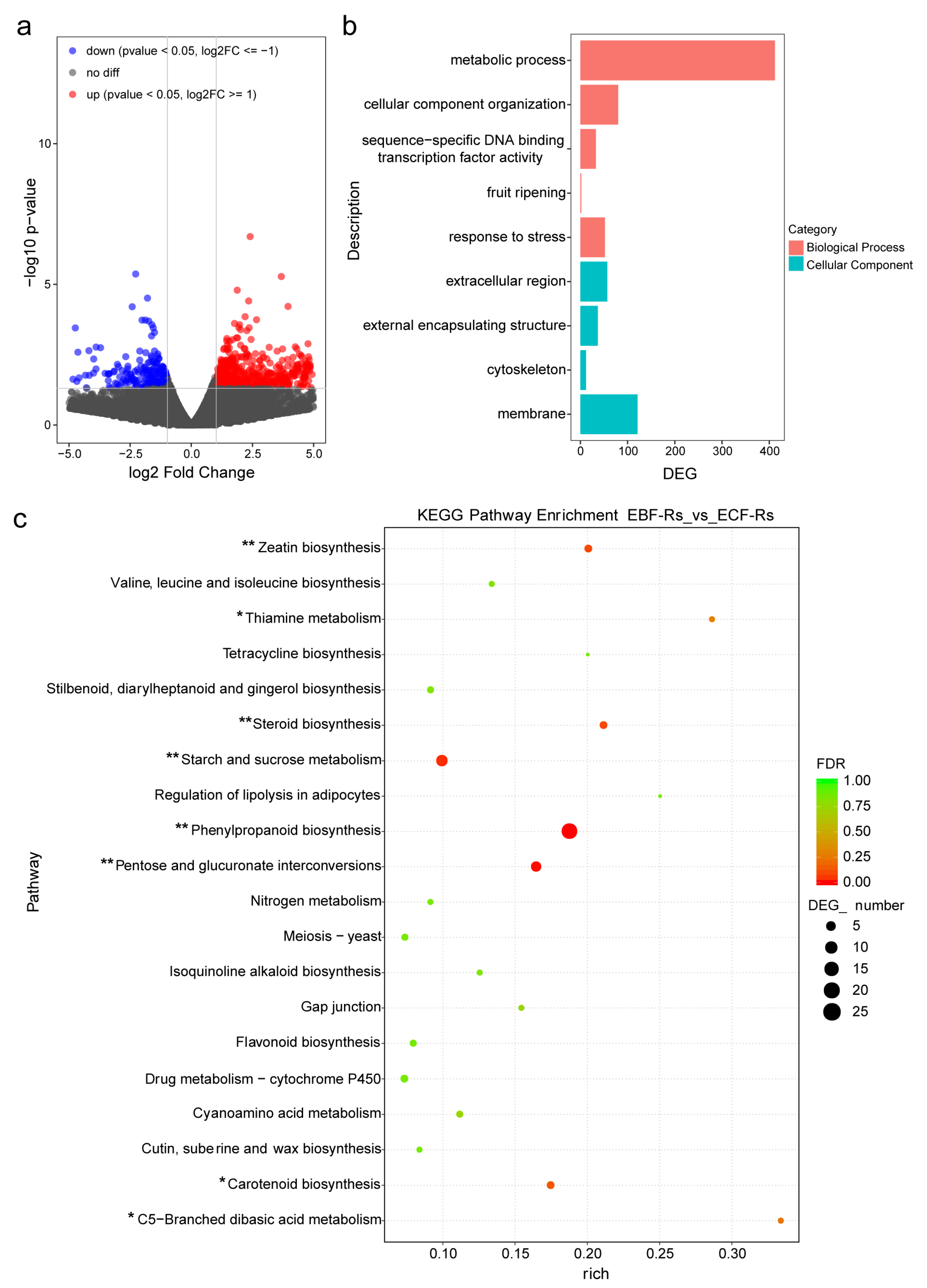 Plants 11 02816 g004