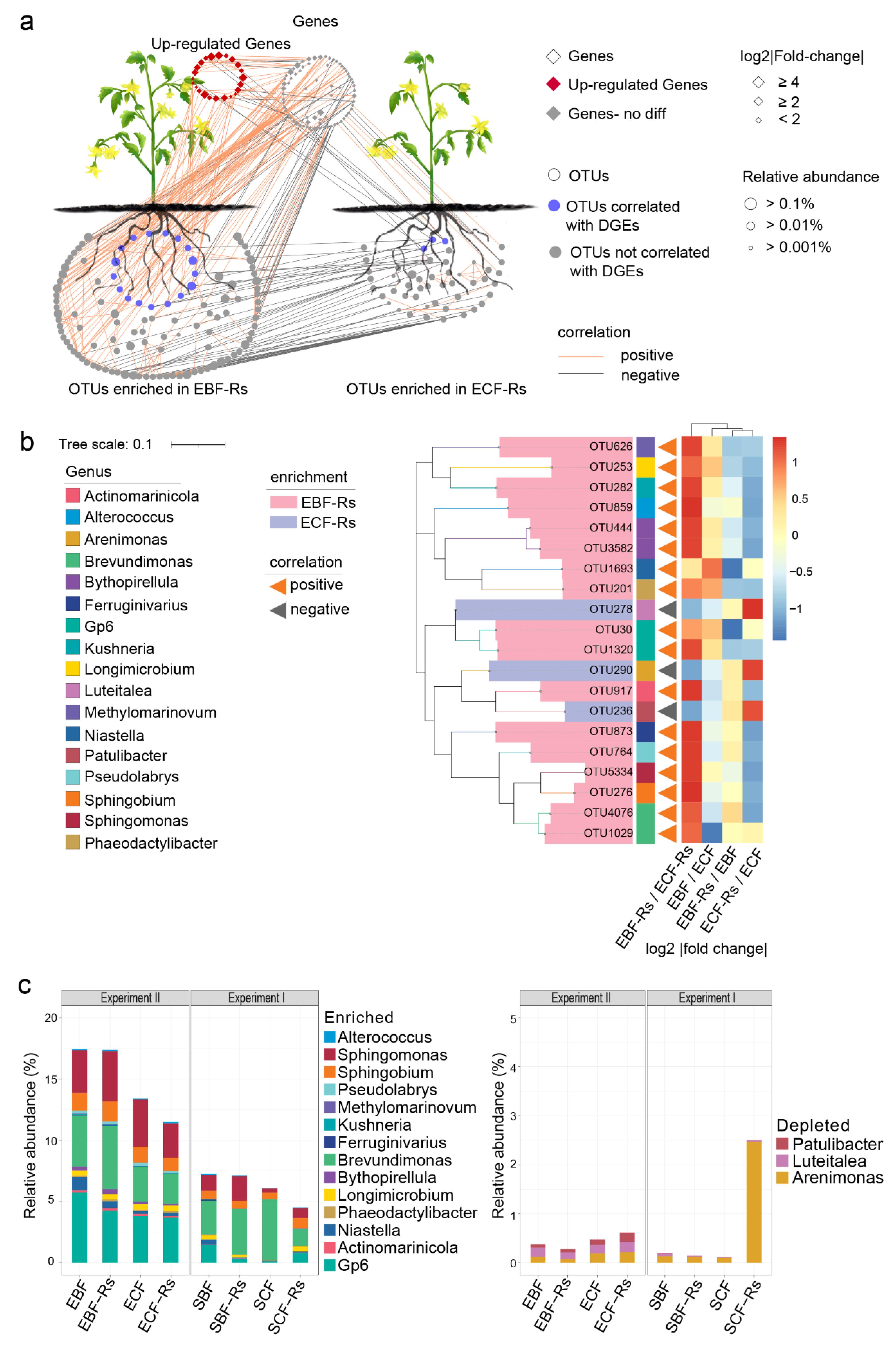 Plants 11 02816 g005