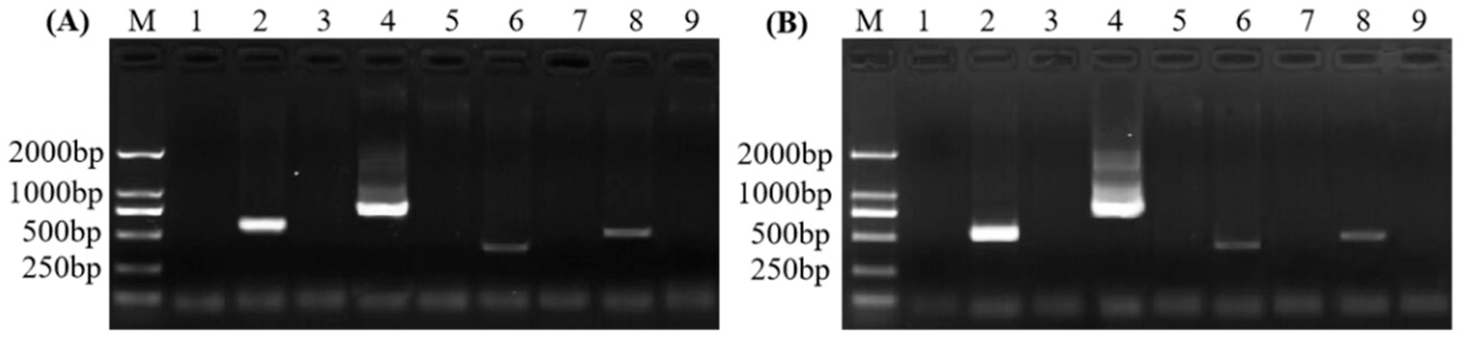 Plants 11 02817 g002