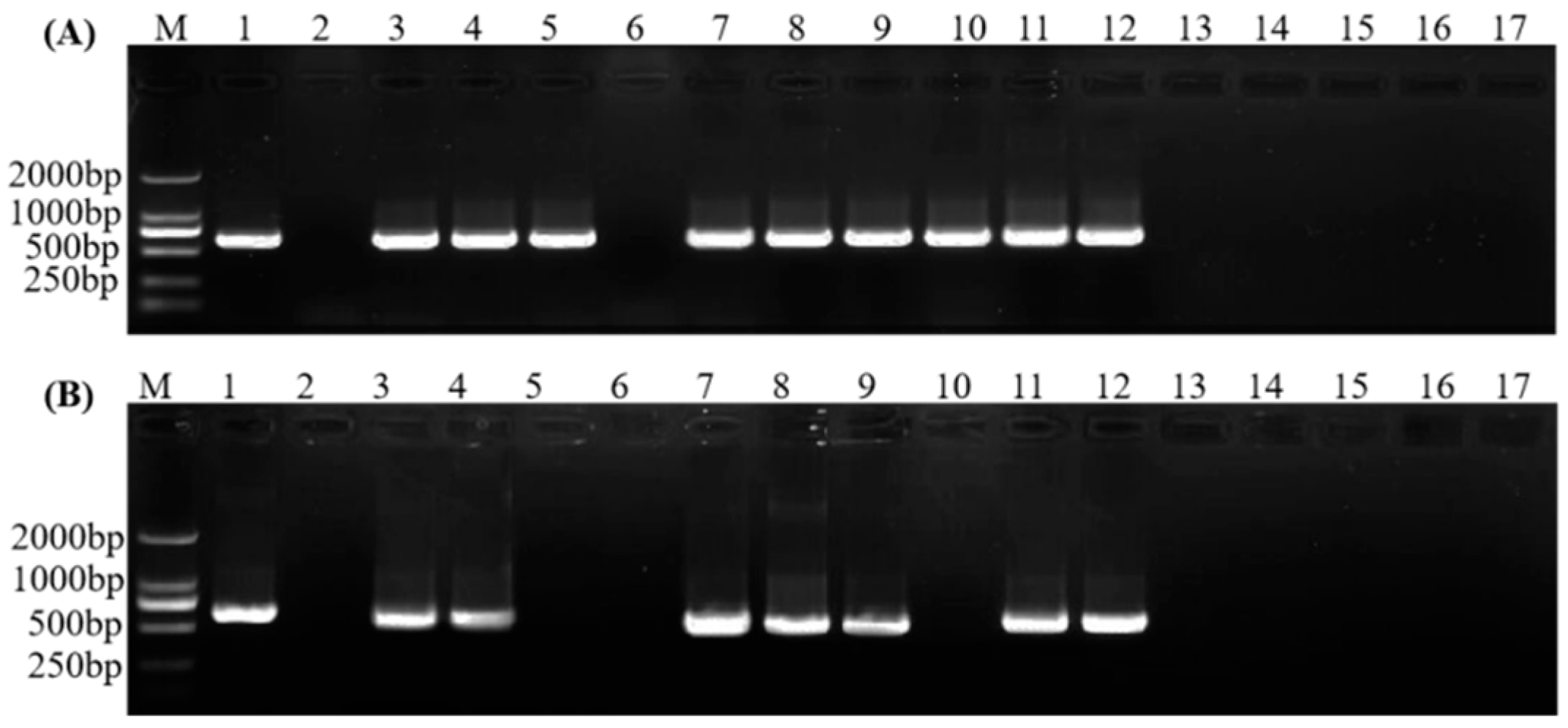 Plants 11 02817 g003