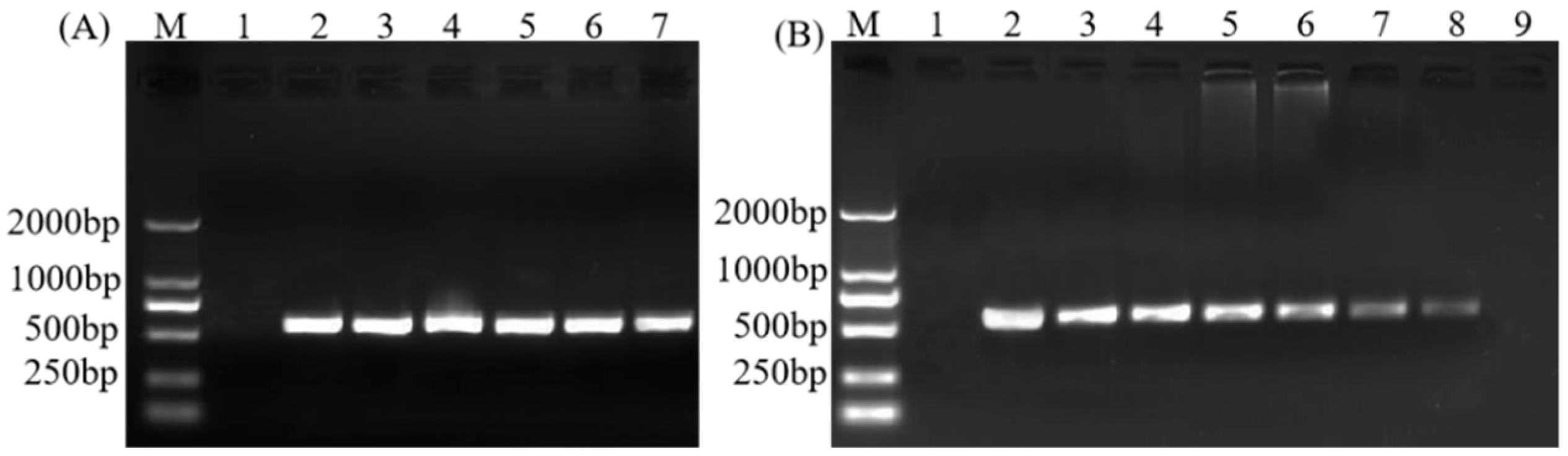 Plants 11 02817 g004