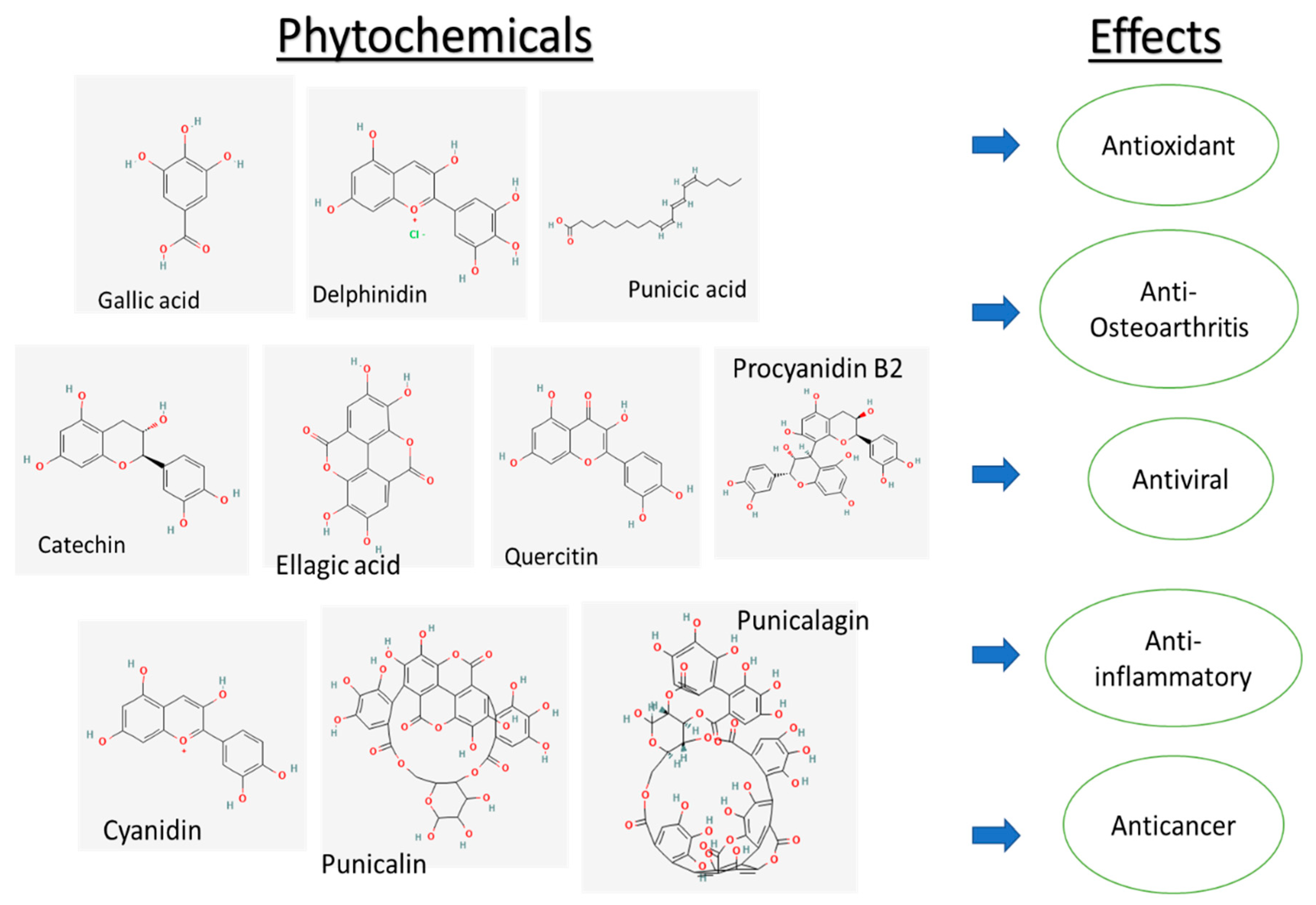 Plants 11 02820 g002 Plants 11 02820 g002