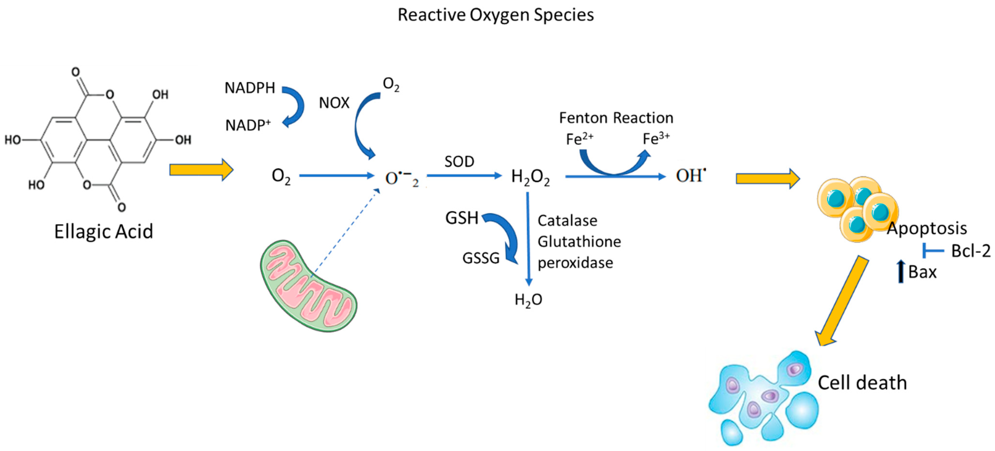 Plants 11 02820 g003 Plants 11 02820 g003