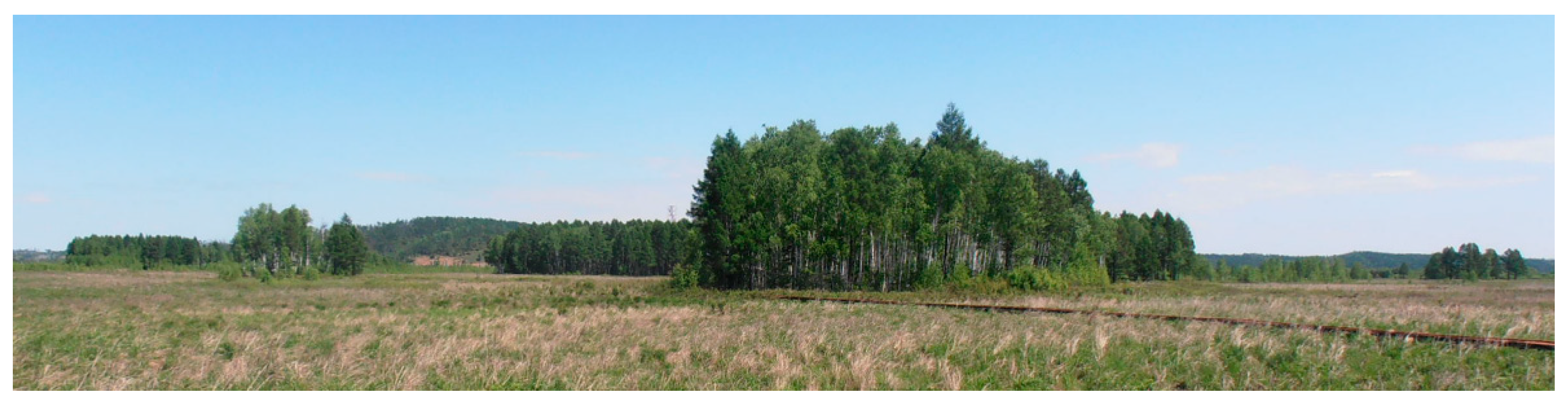 Plants 11 02823 g007