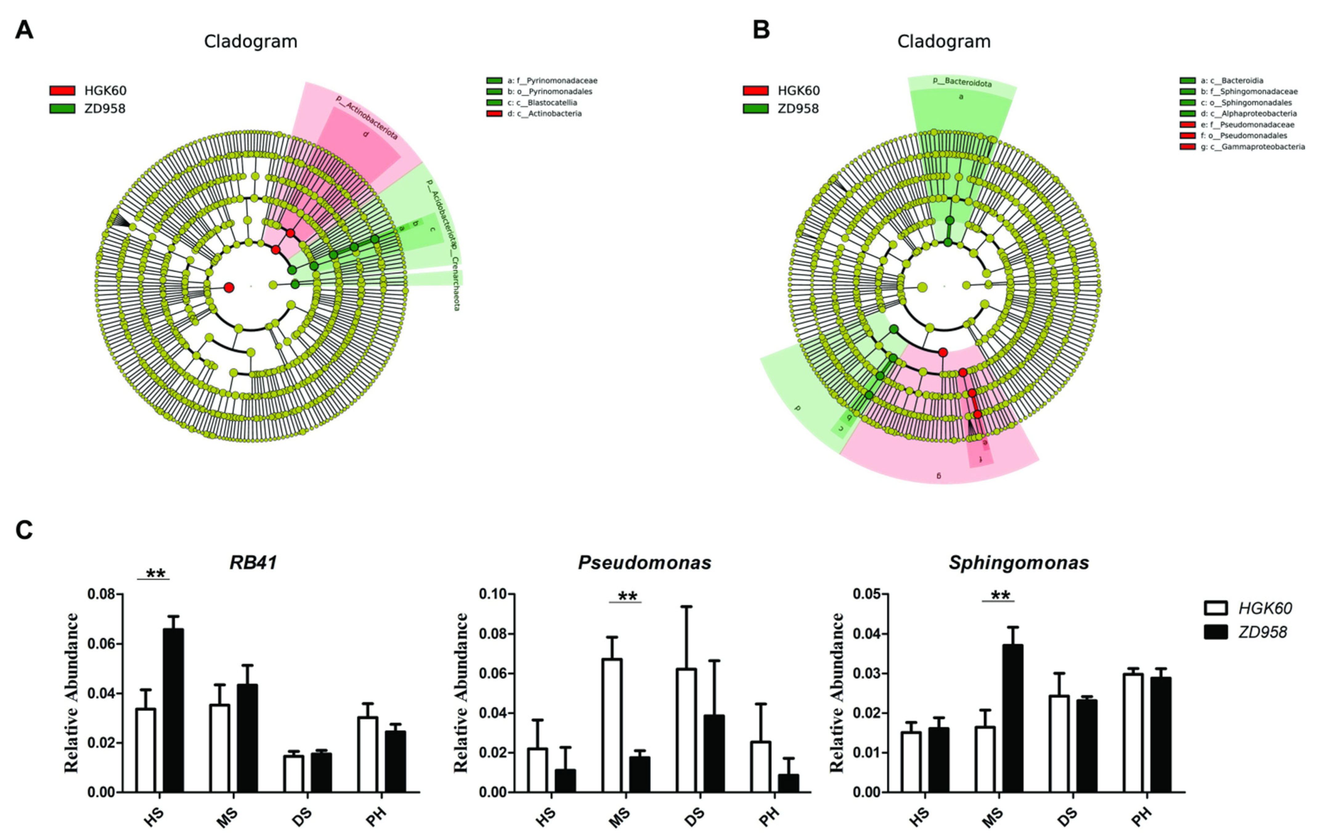 Plants 11 02824 g003
