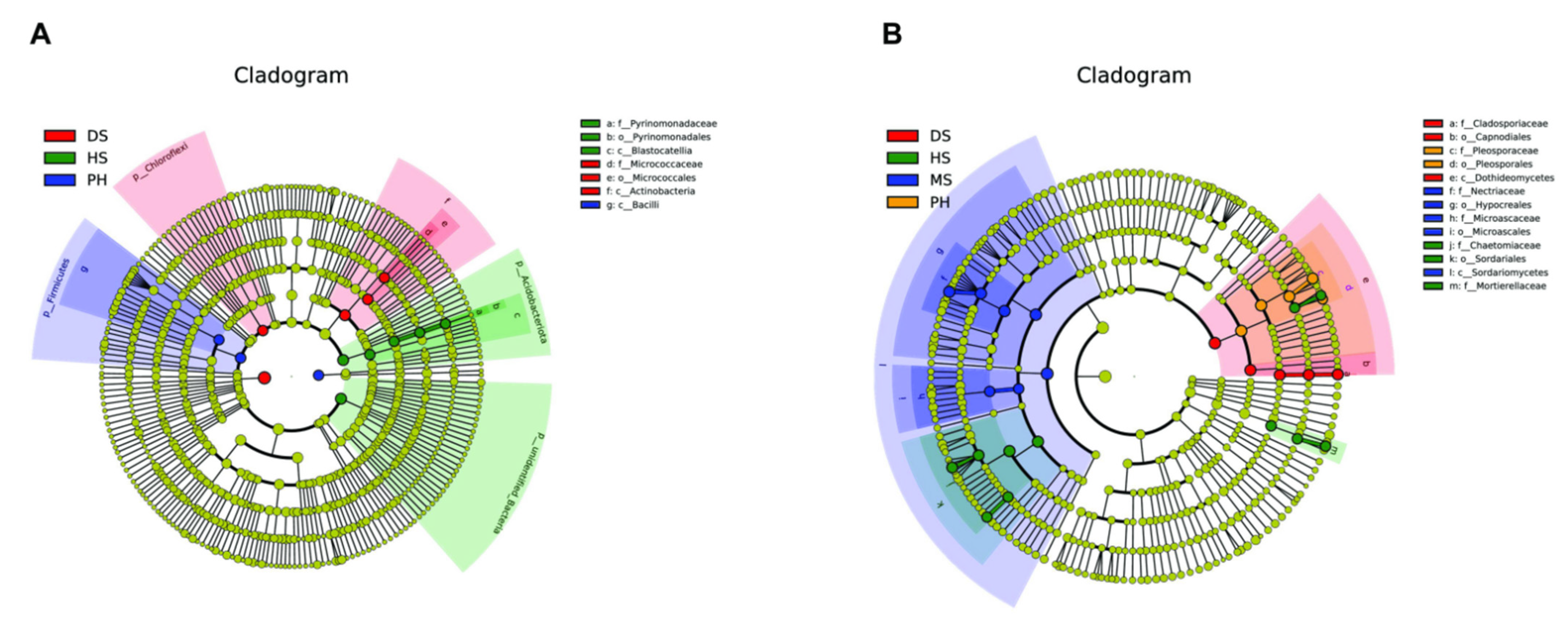 Plants 11 02824 g006