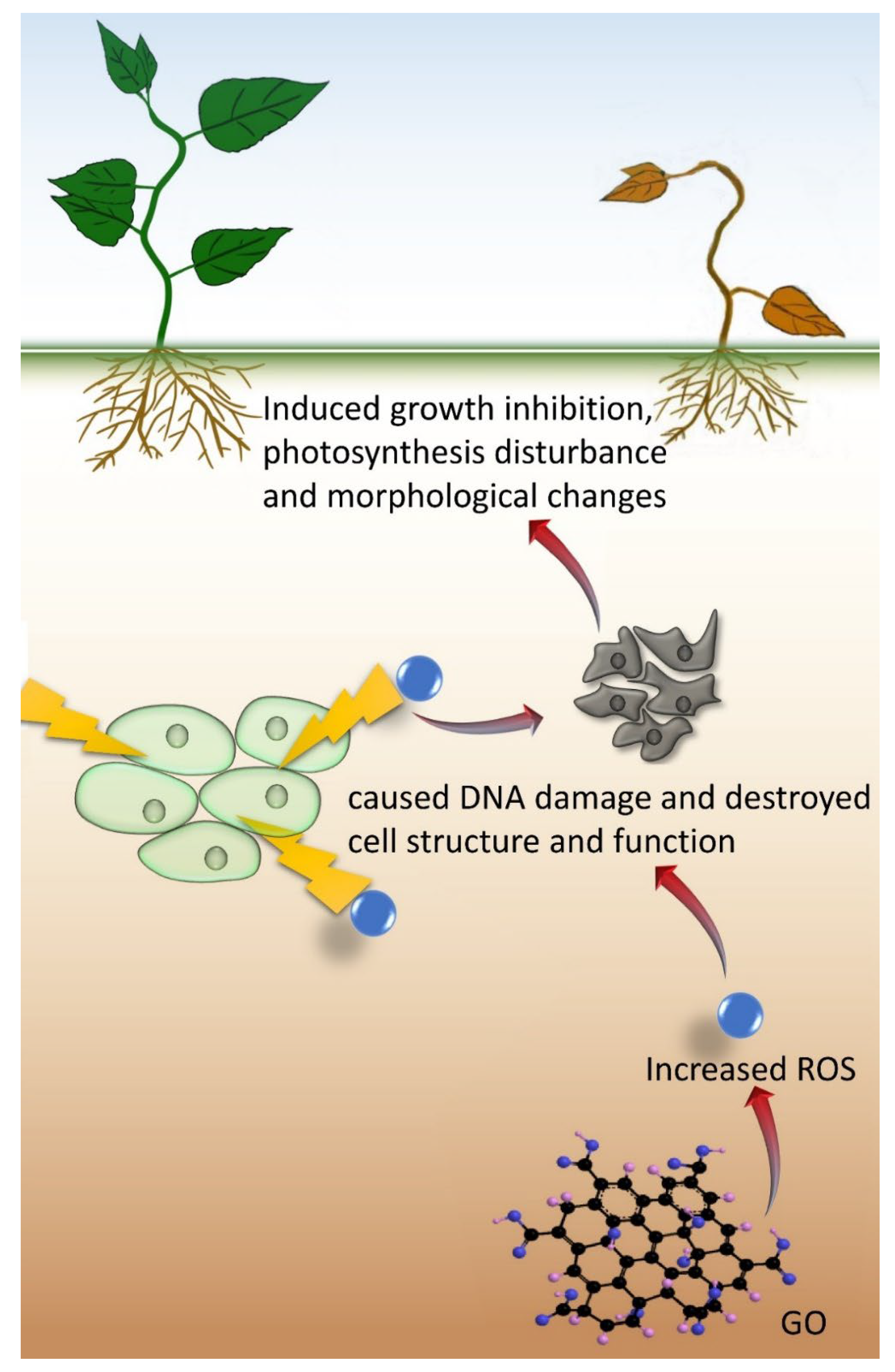 Plants 11 02826 g004