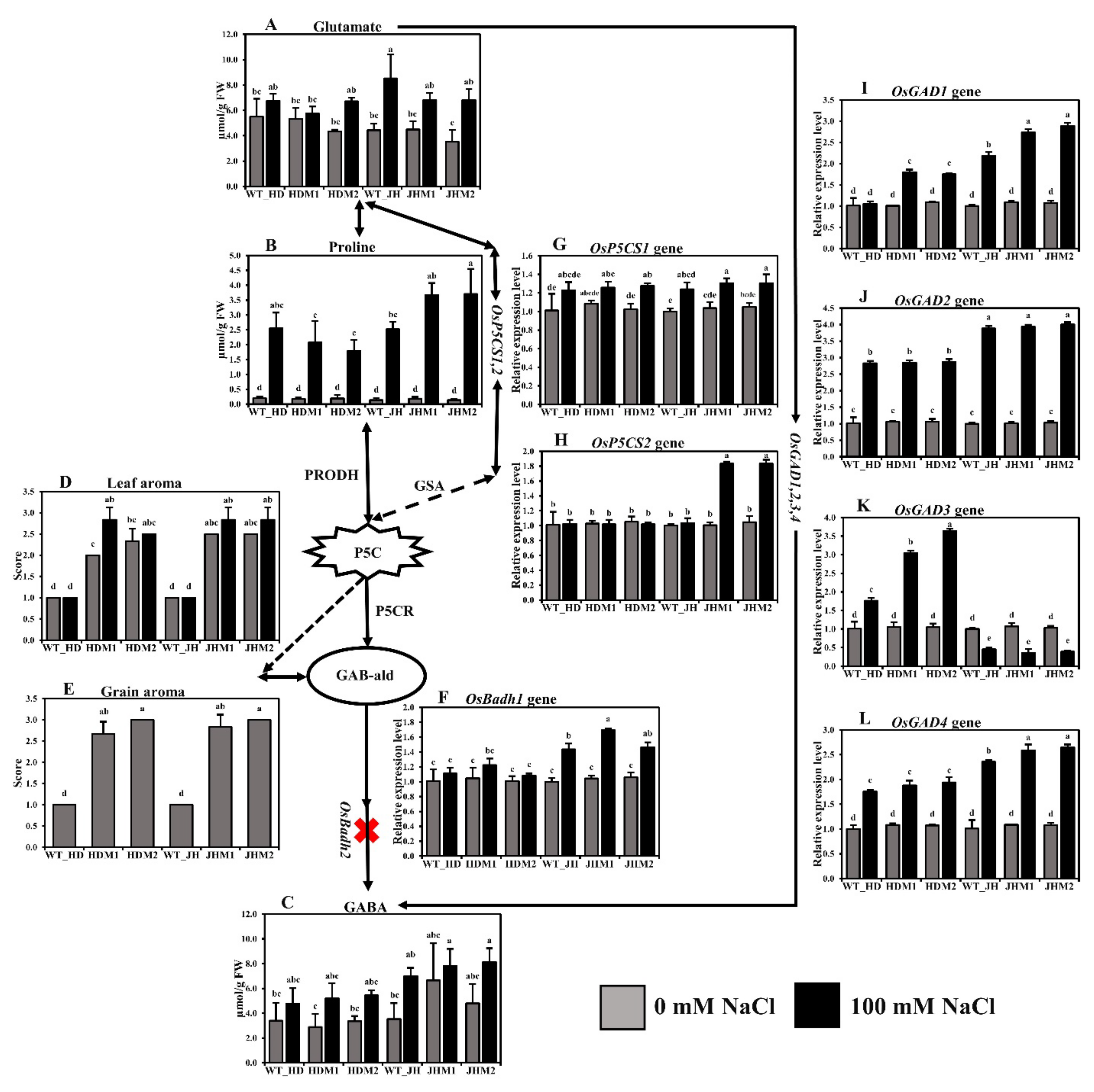 Plants 11 02829 g004