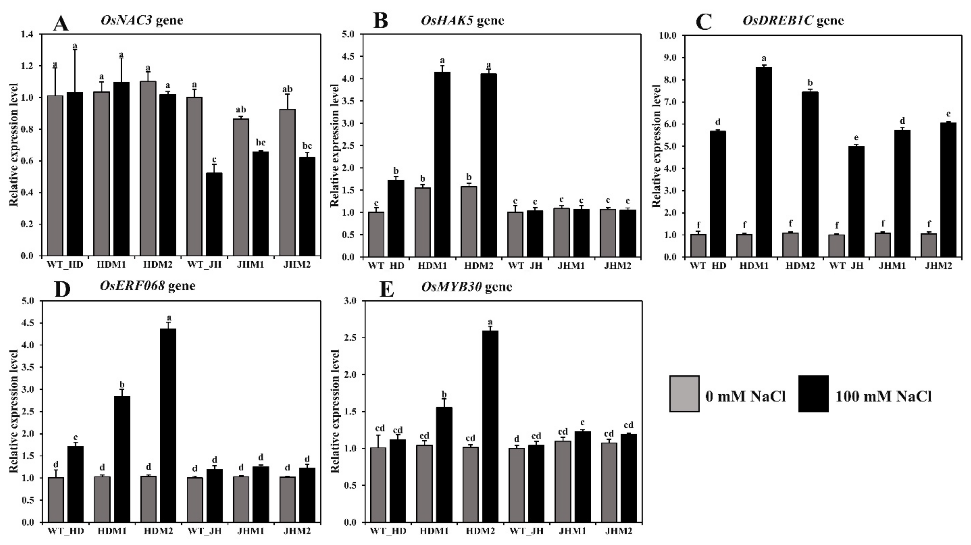 Plants 11 02829 g006