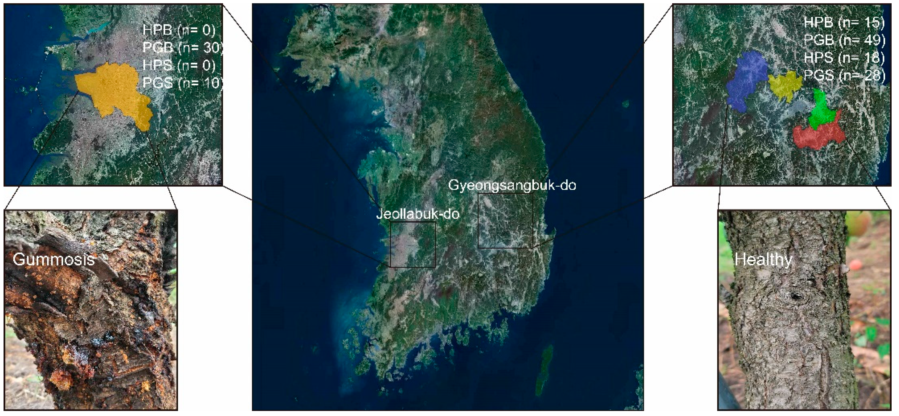 Plants 11 02834 g005