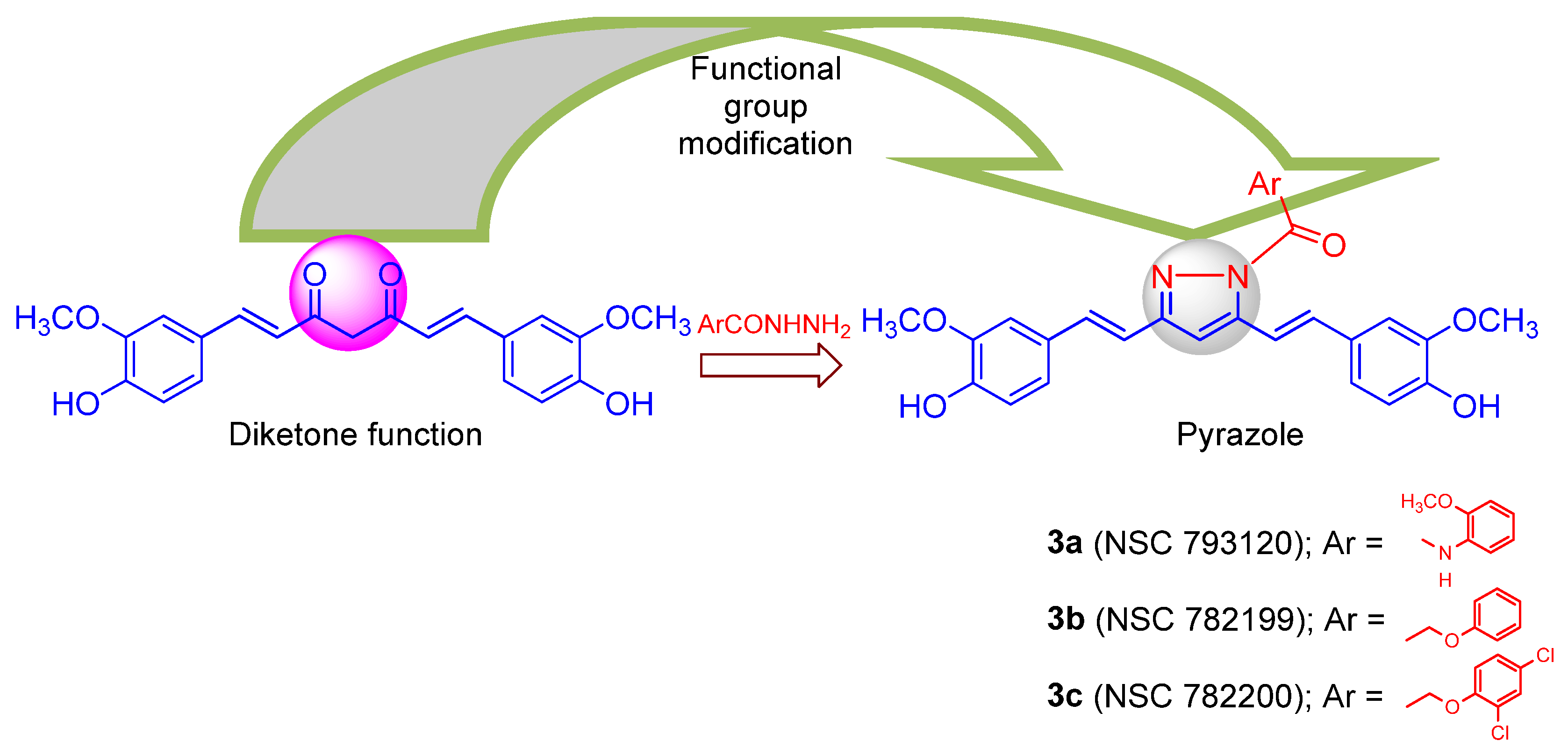 Plants 11 02835 g001