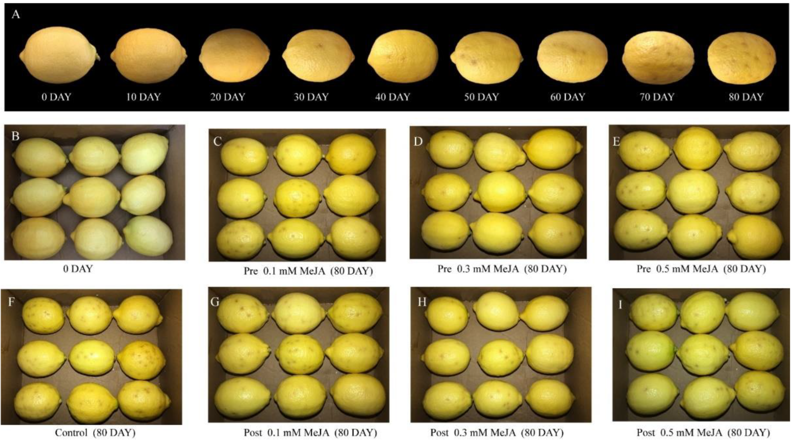 Plants 11 02840 g001