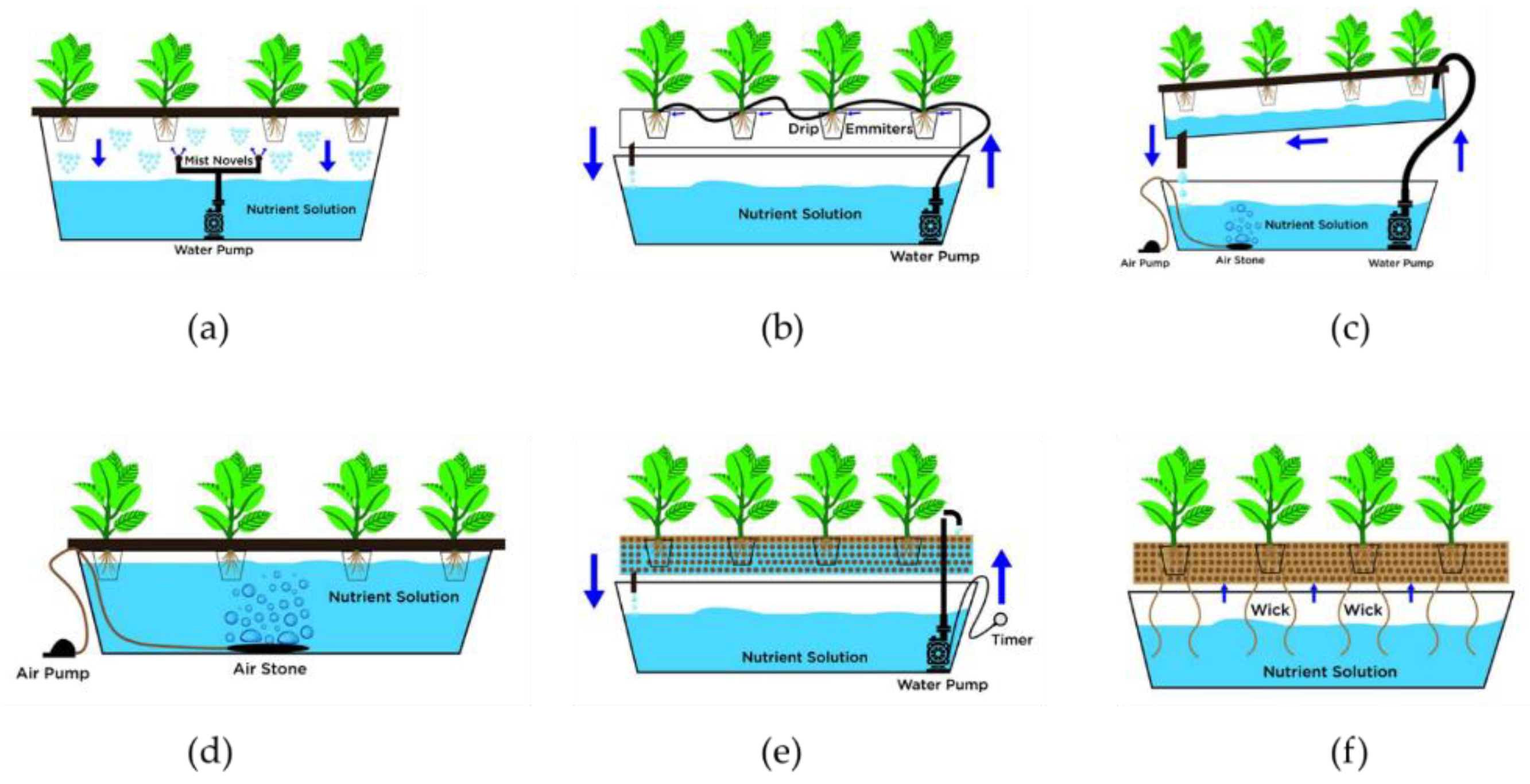 Plants 11 02843 g001