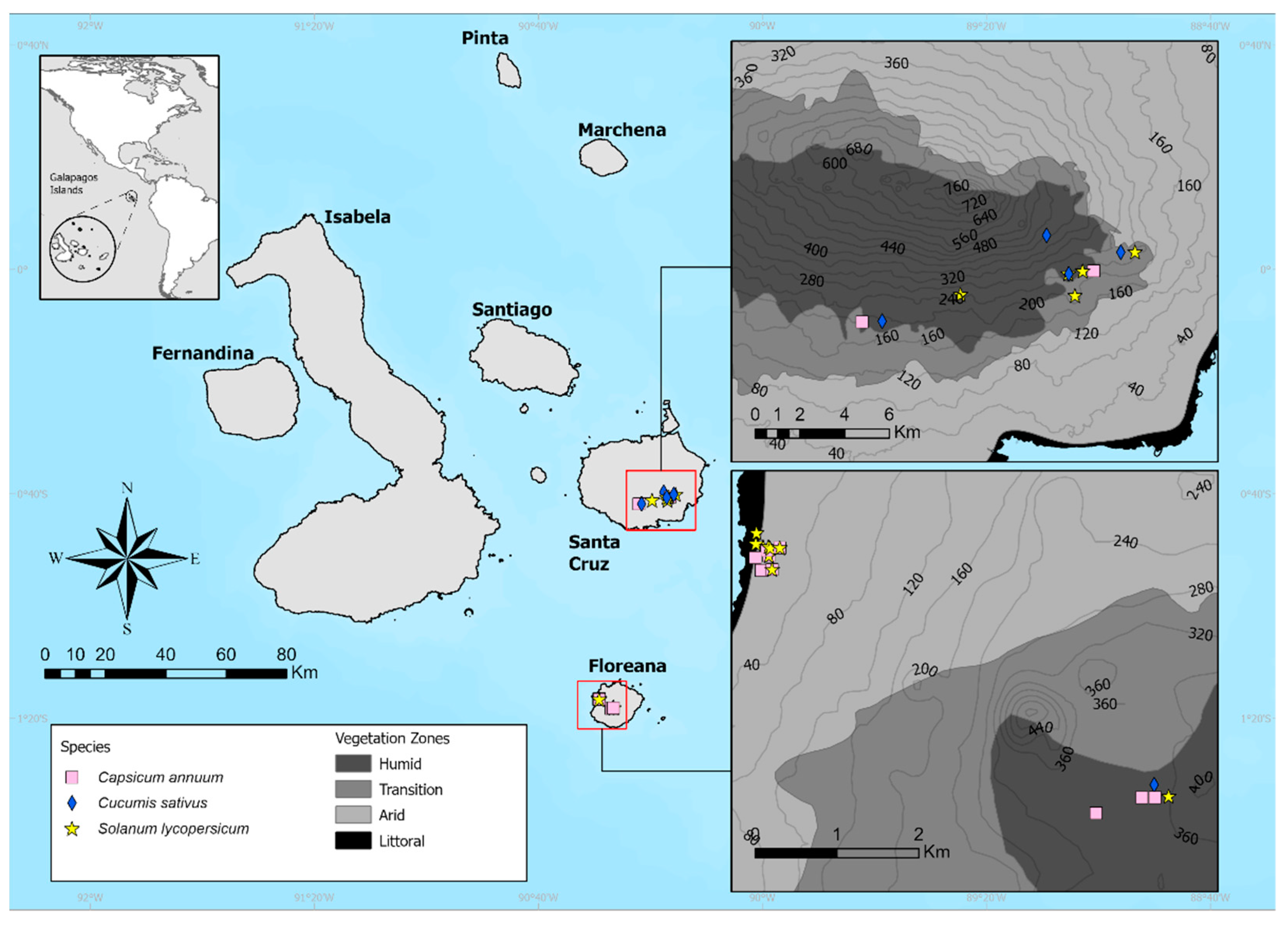 Plants 11 02848 g006