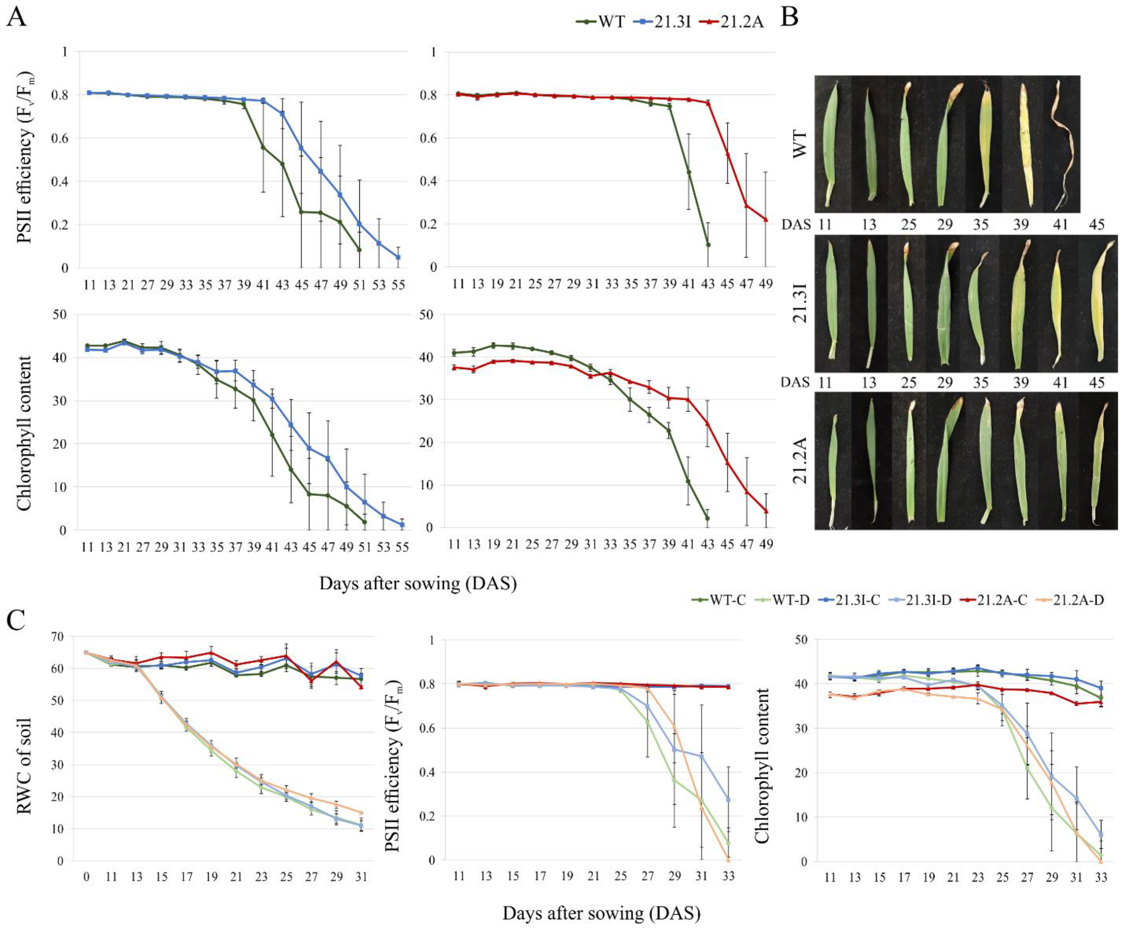 Plants 11 02851 g002