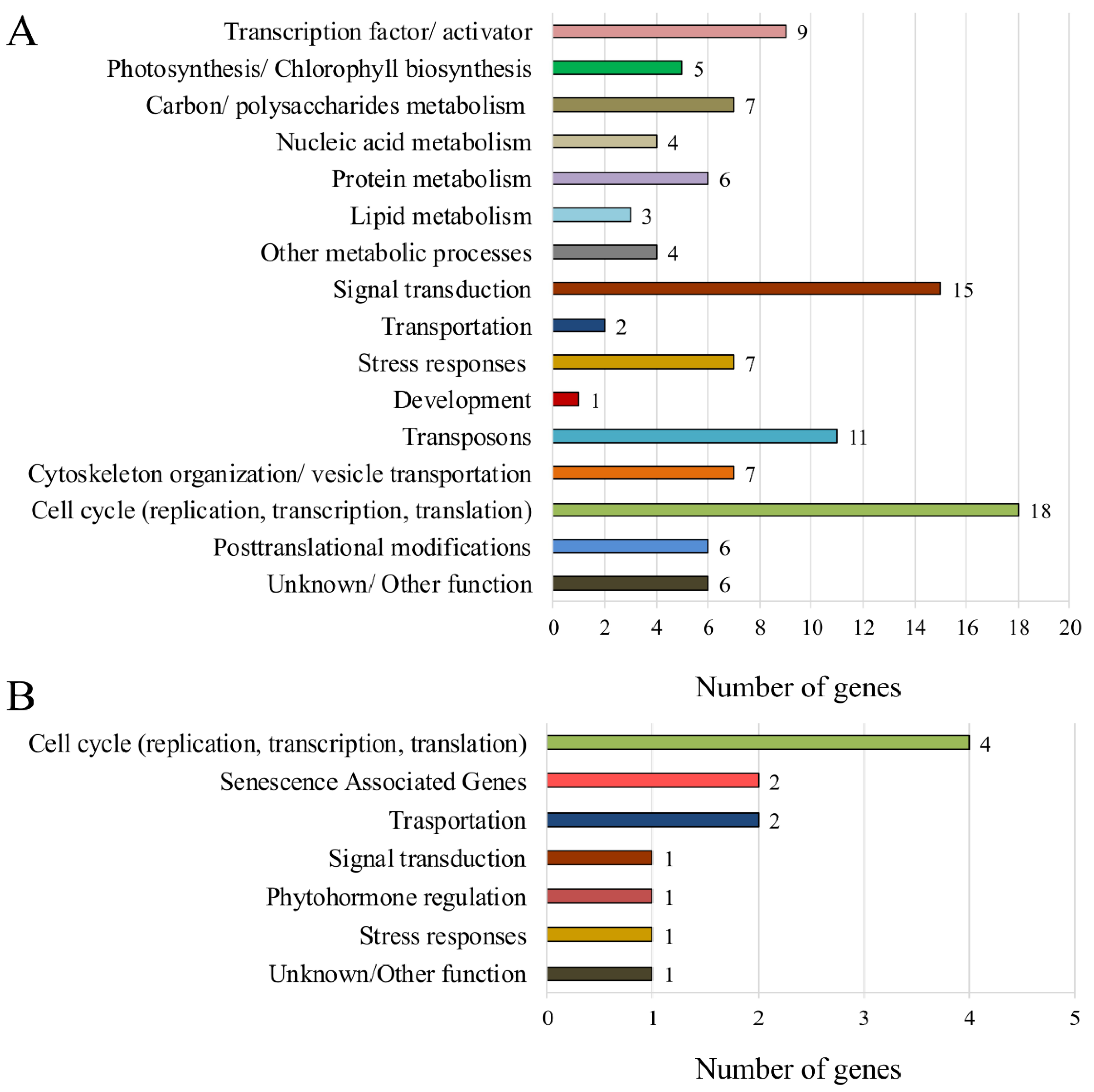 Plants 11 02851 g005