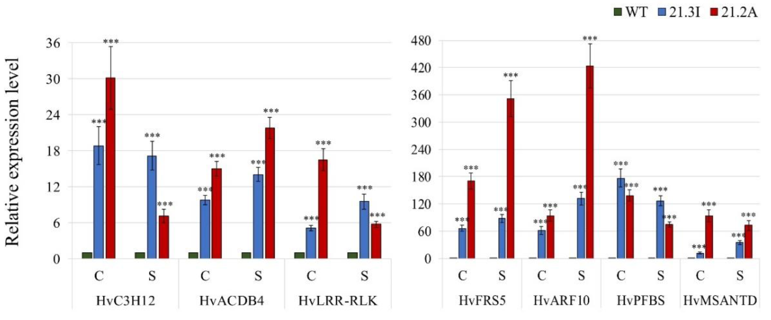 Plants 11 02851 g006