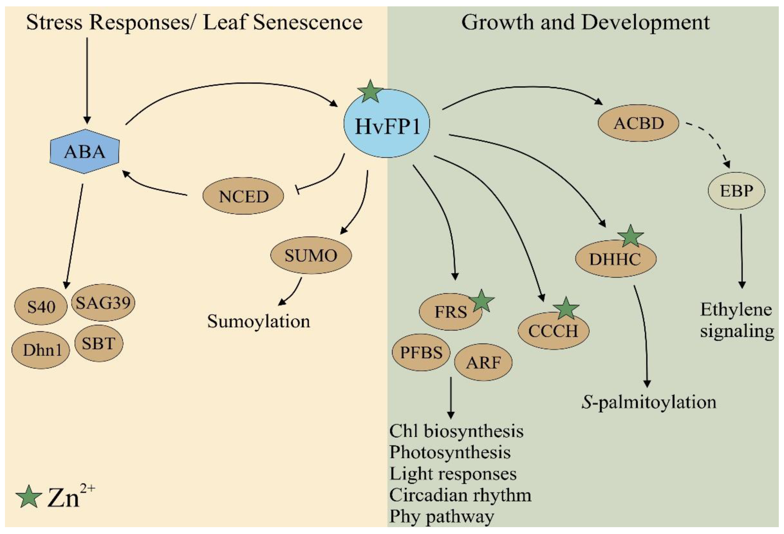 Plants 11 02851 g007