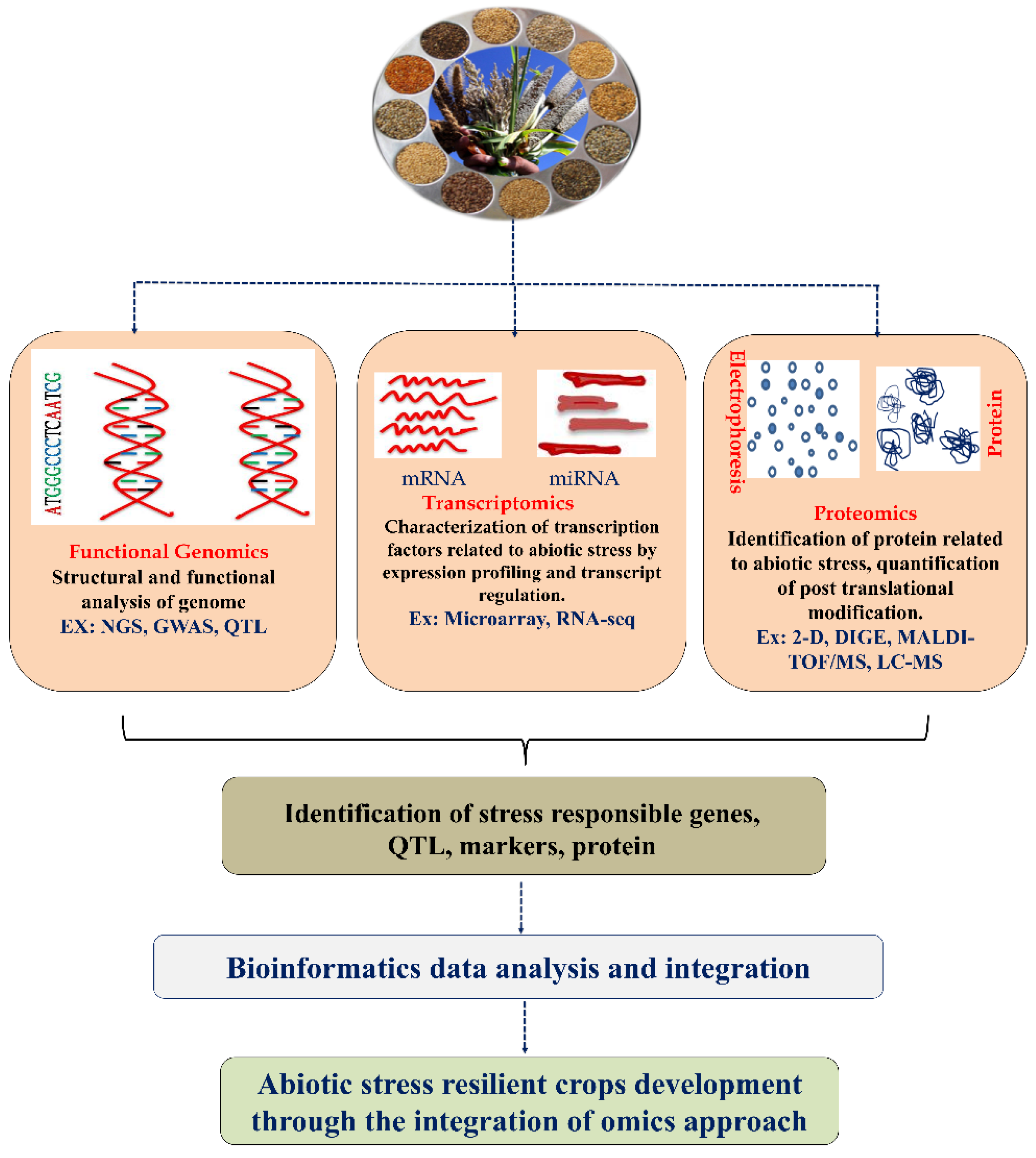 Plants 11 02852 g001