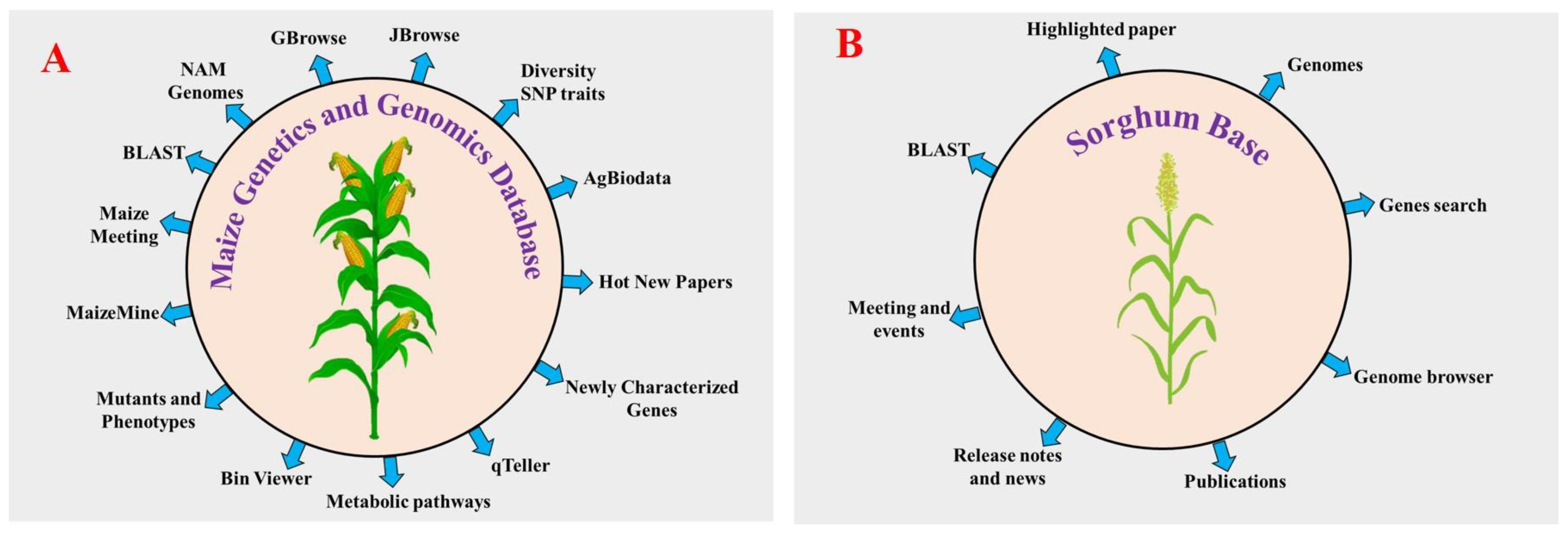 Plants 11 02852 g003