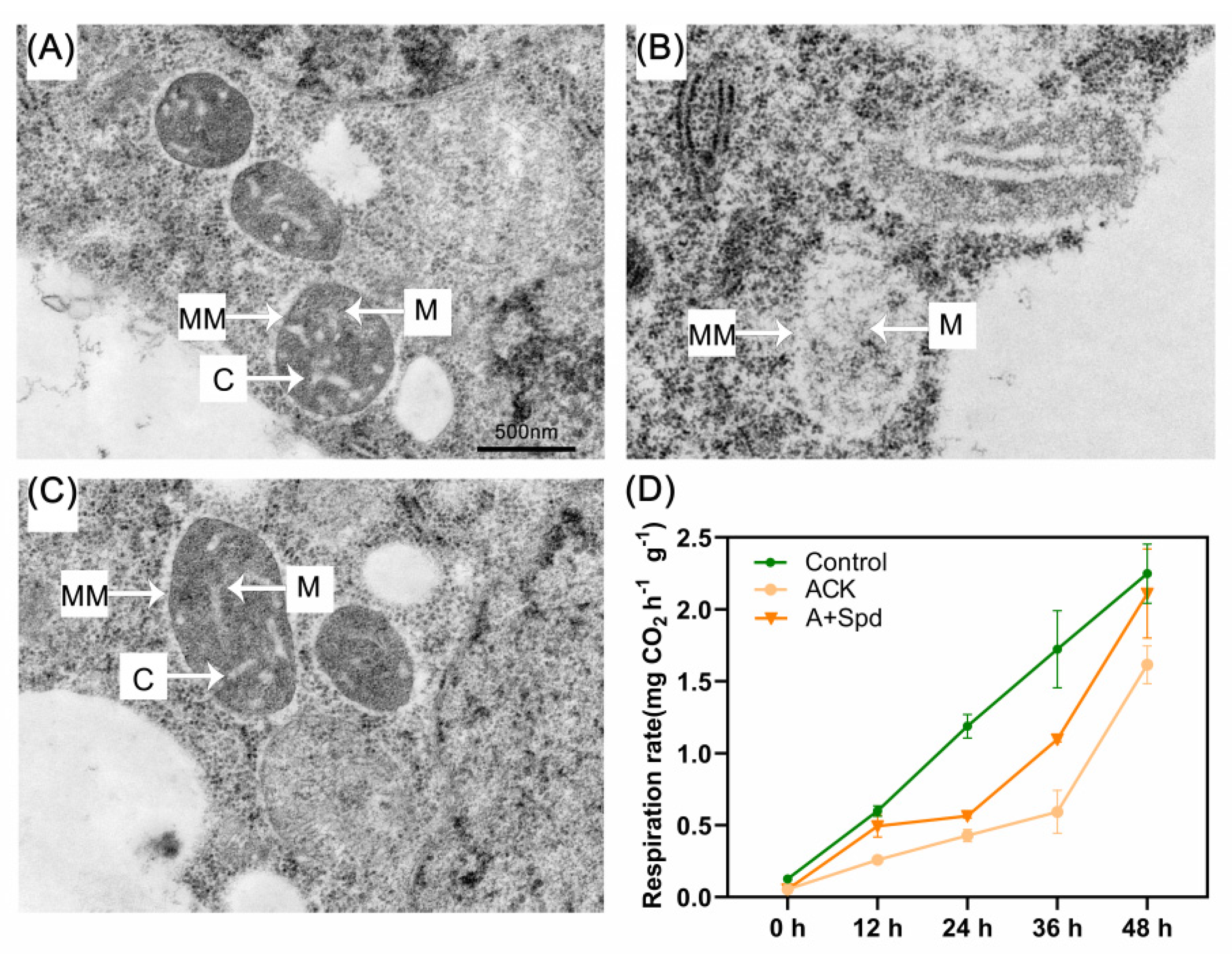 Plants 11 02853 g009 Plants 11 02853 g009