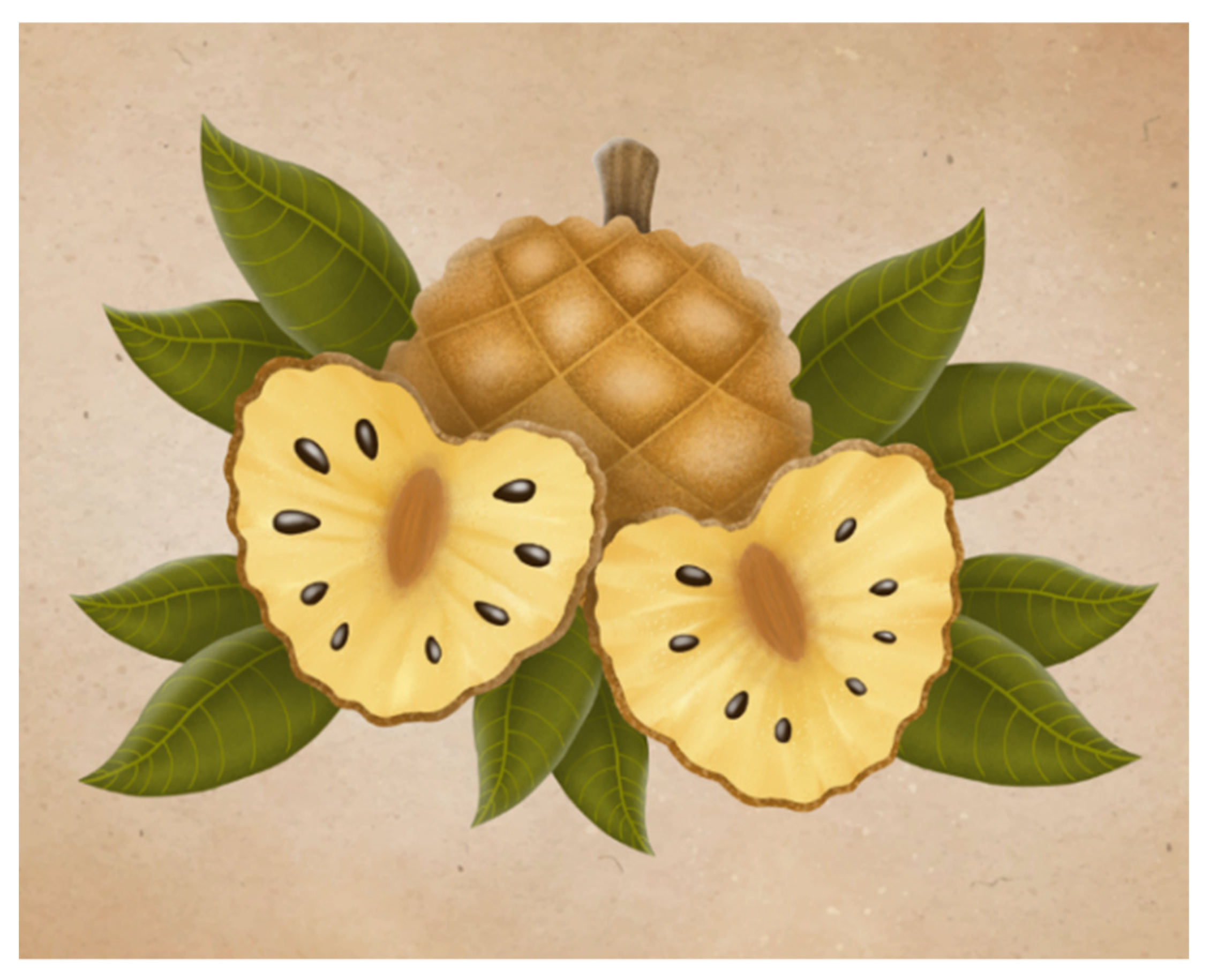 Plants 11 02855 g001