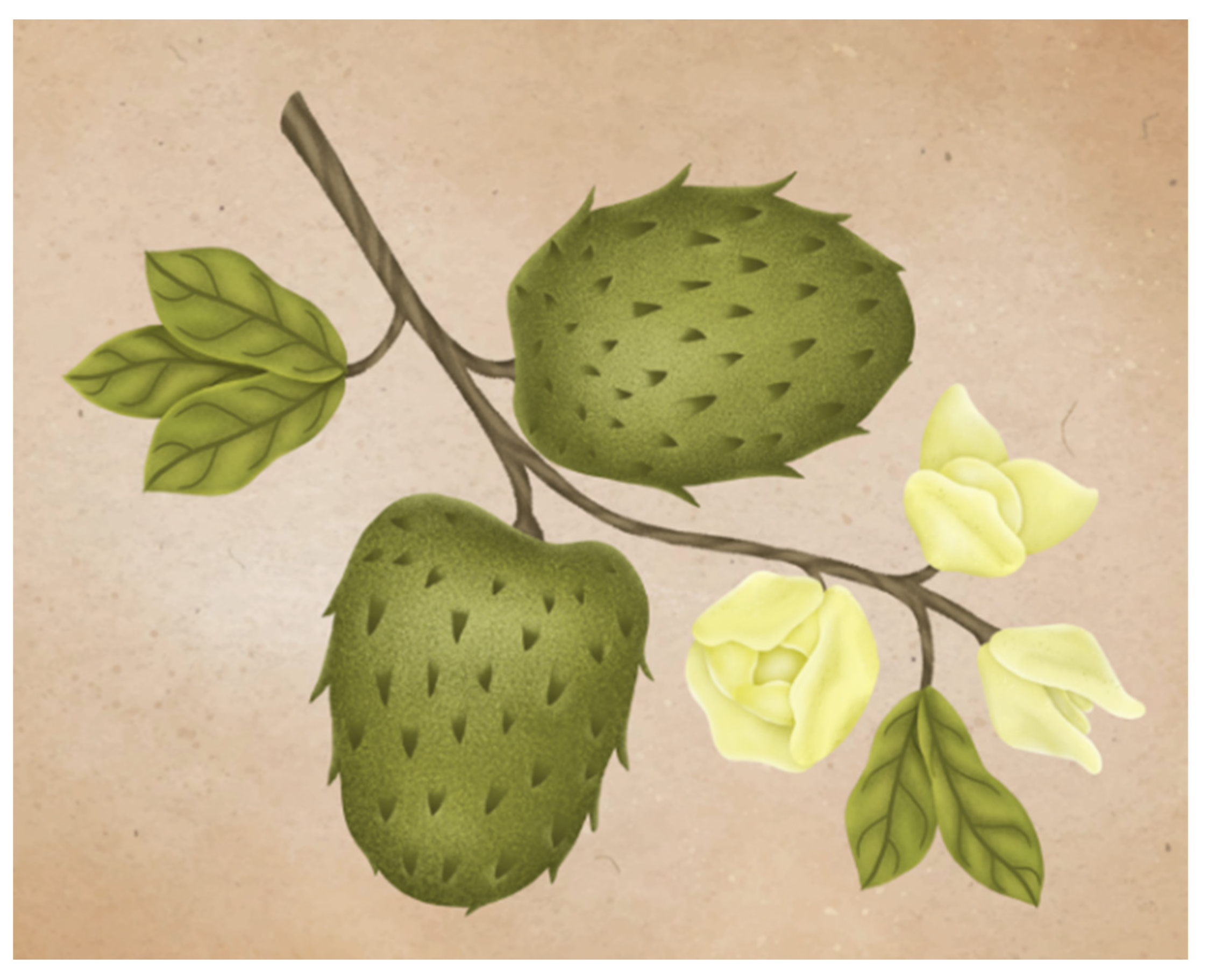 Plants 11 02855 g002