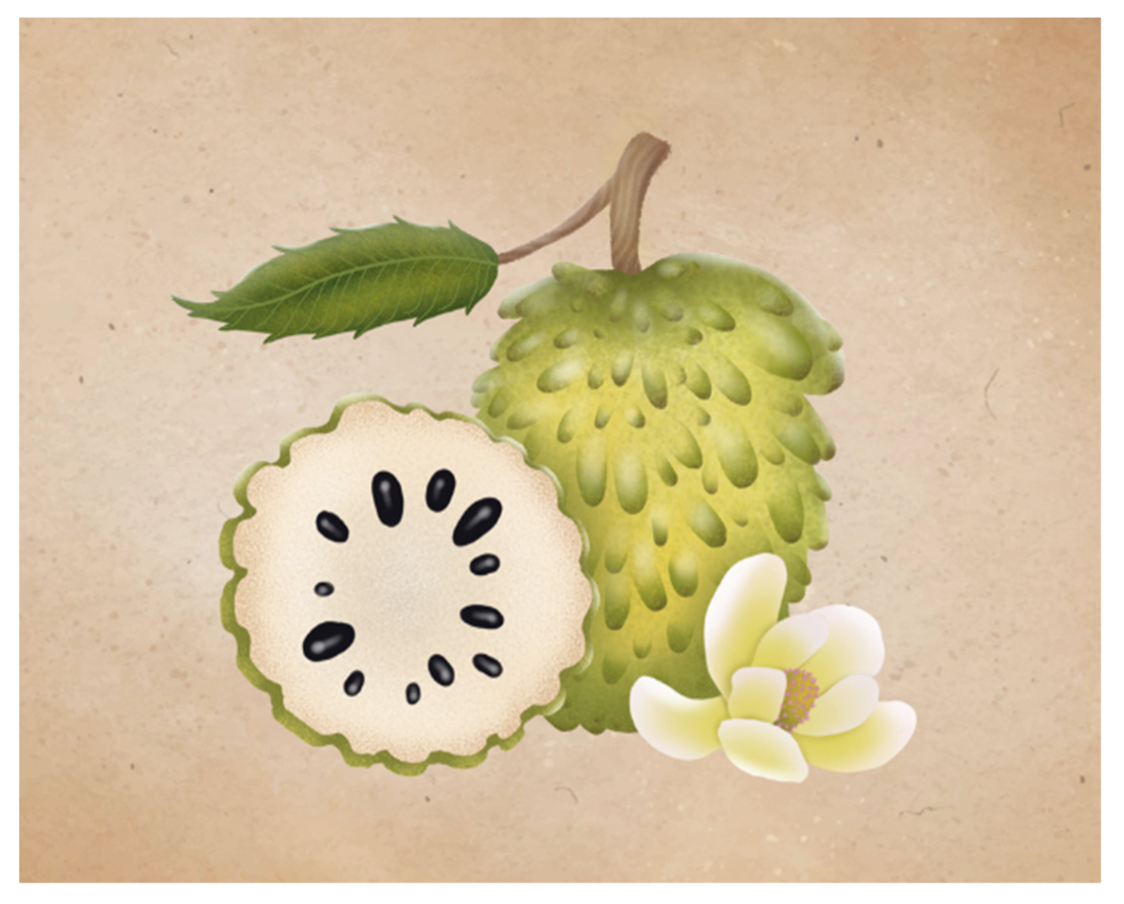 Plants 11 02855 g003