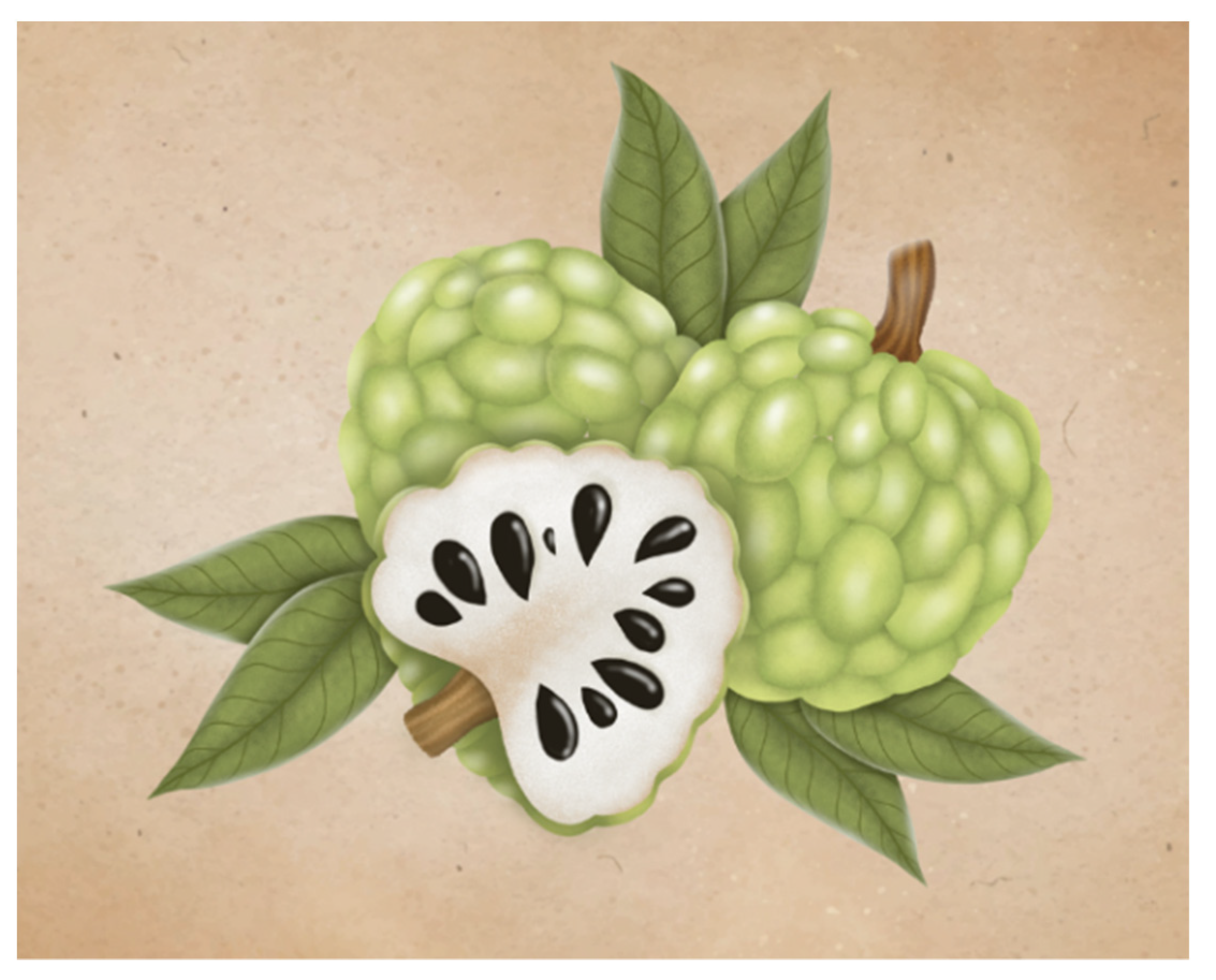 Plants 11 02855 g004