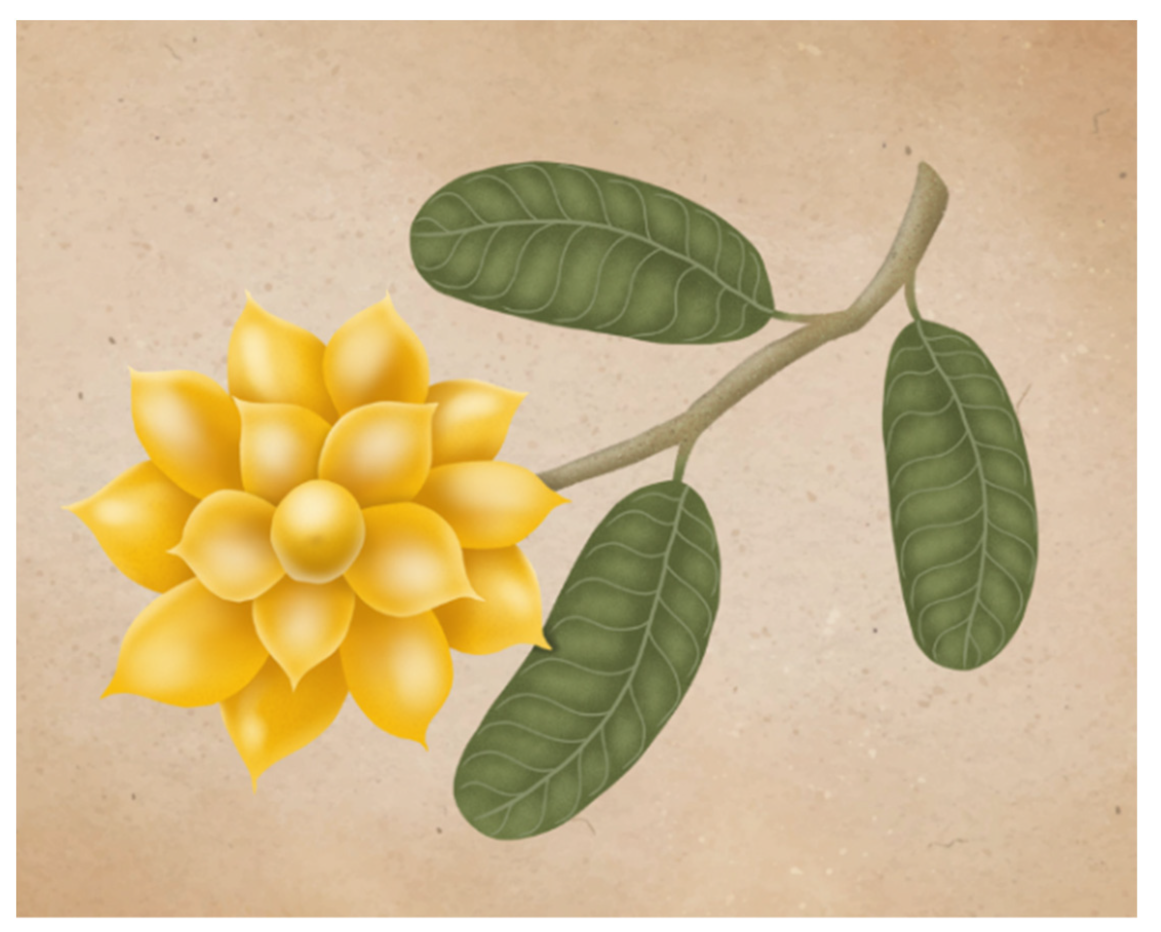 Plants 11 02855 g005