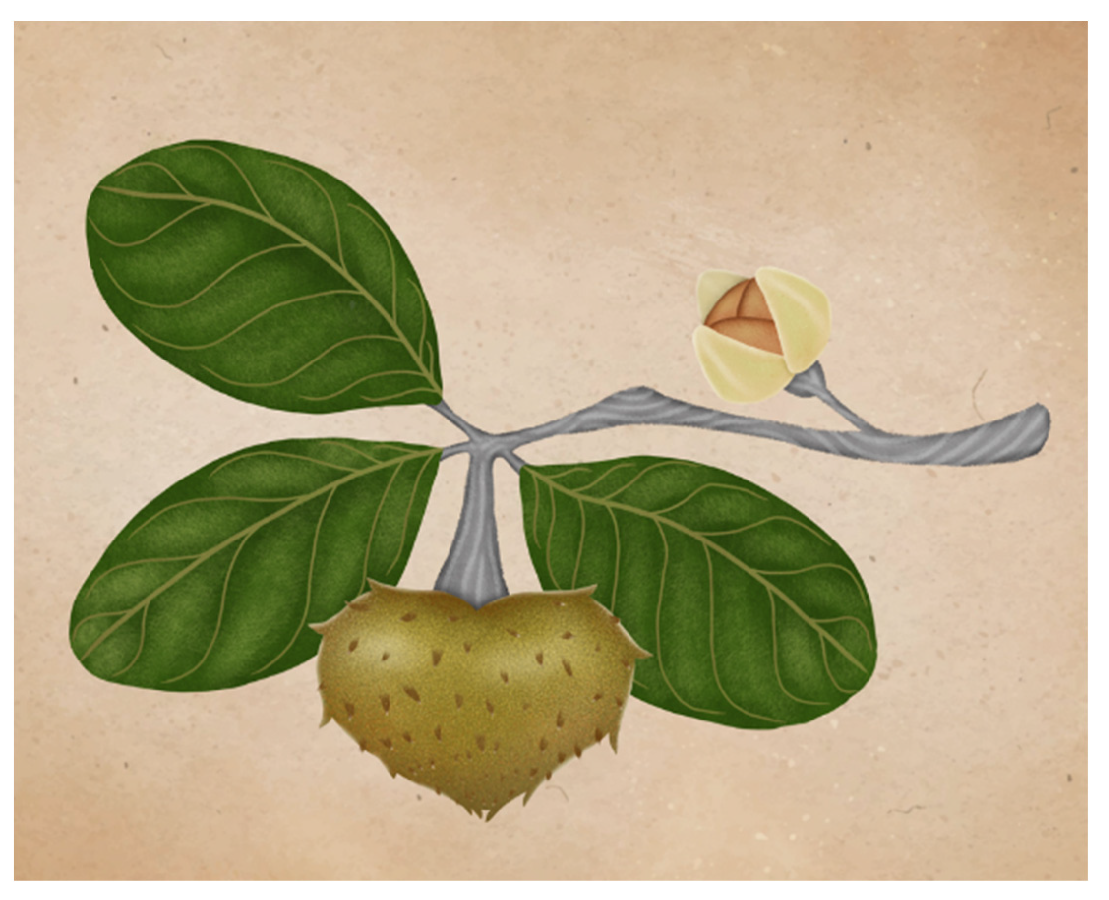 Plants 11 02855 g006