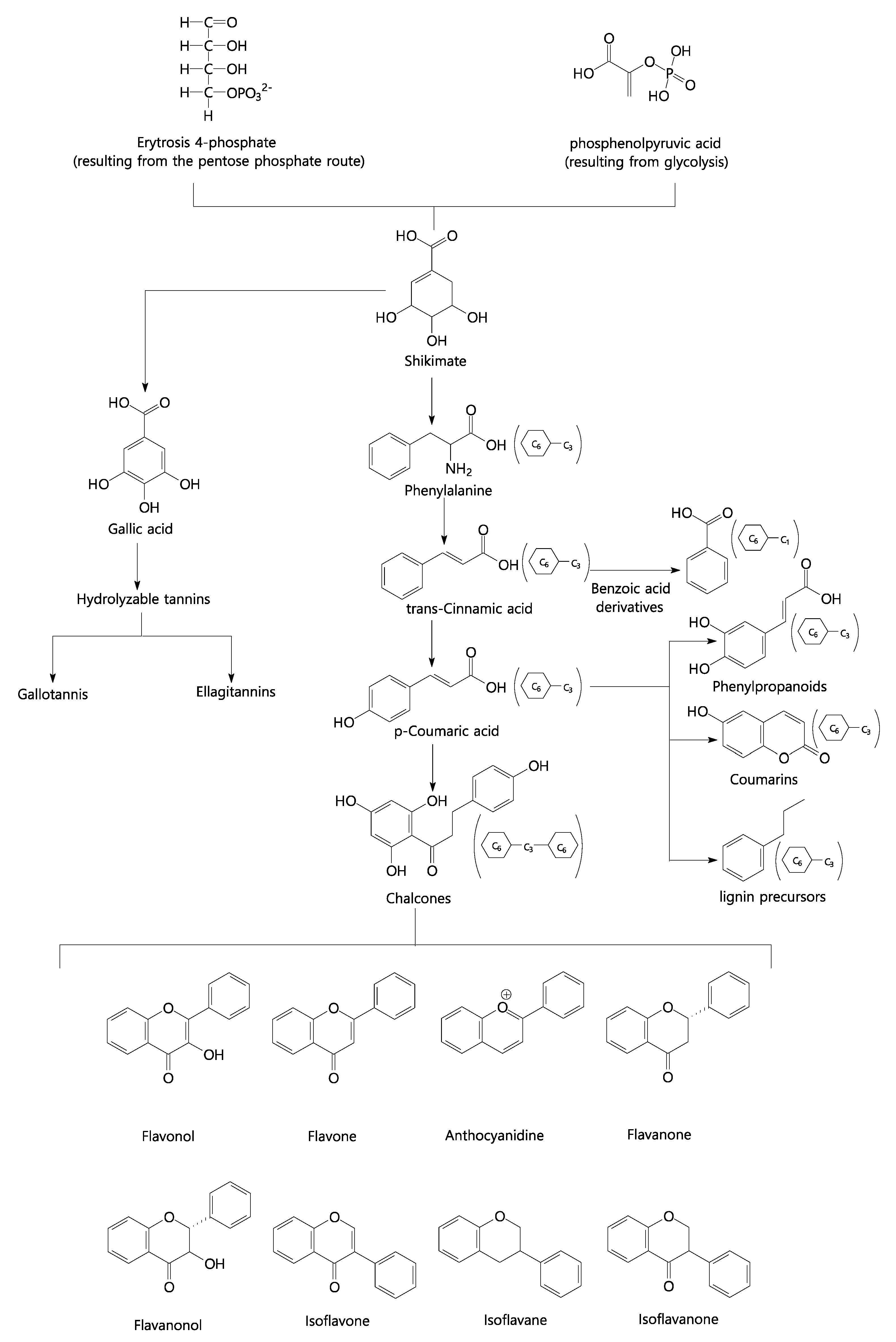 Plants 11 02855 g007
