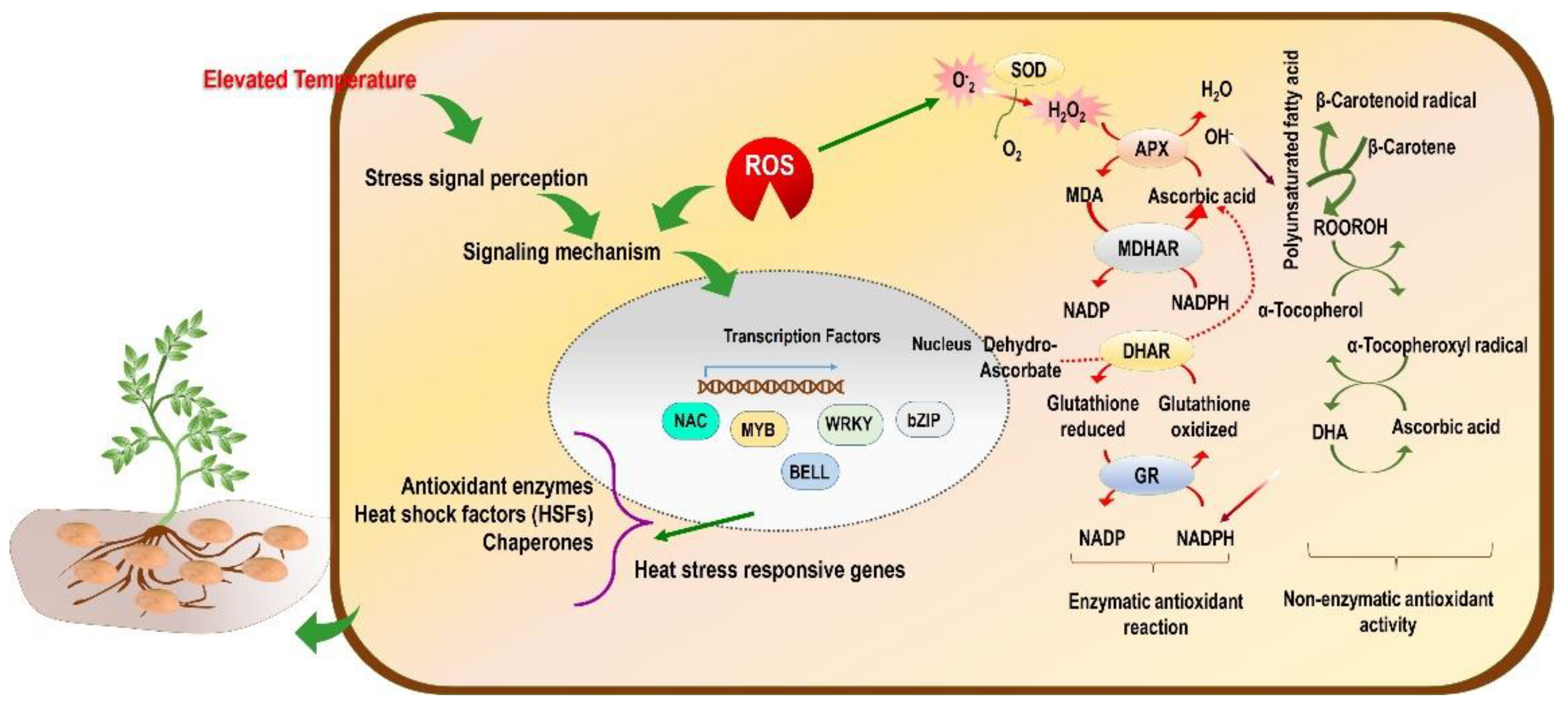 Plants 11 02857 g002