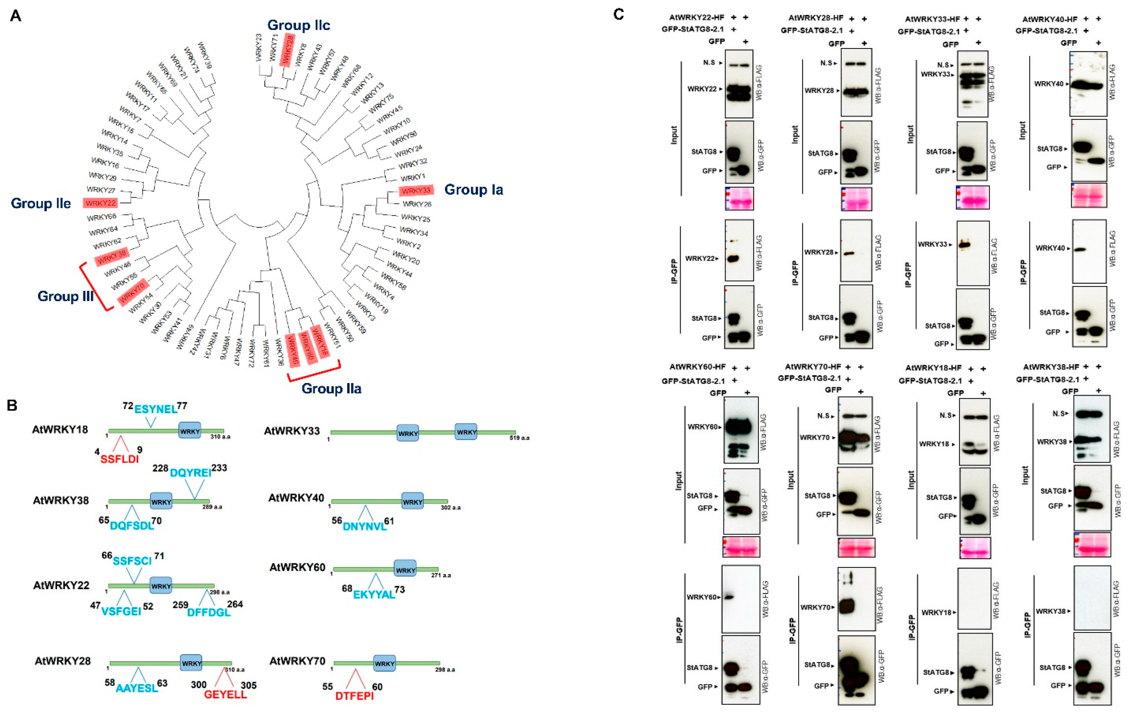 Plants 11 02858 g006