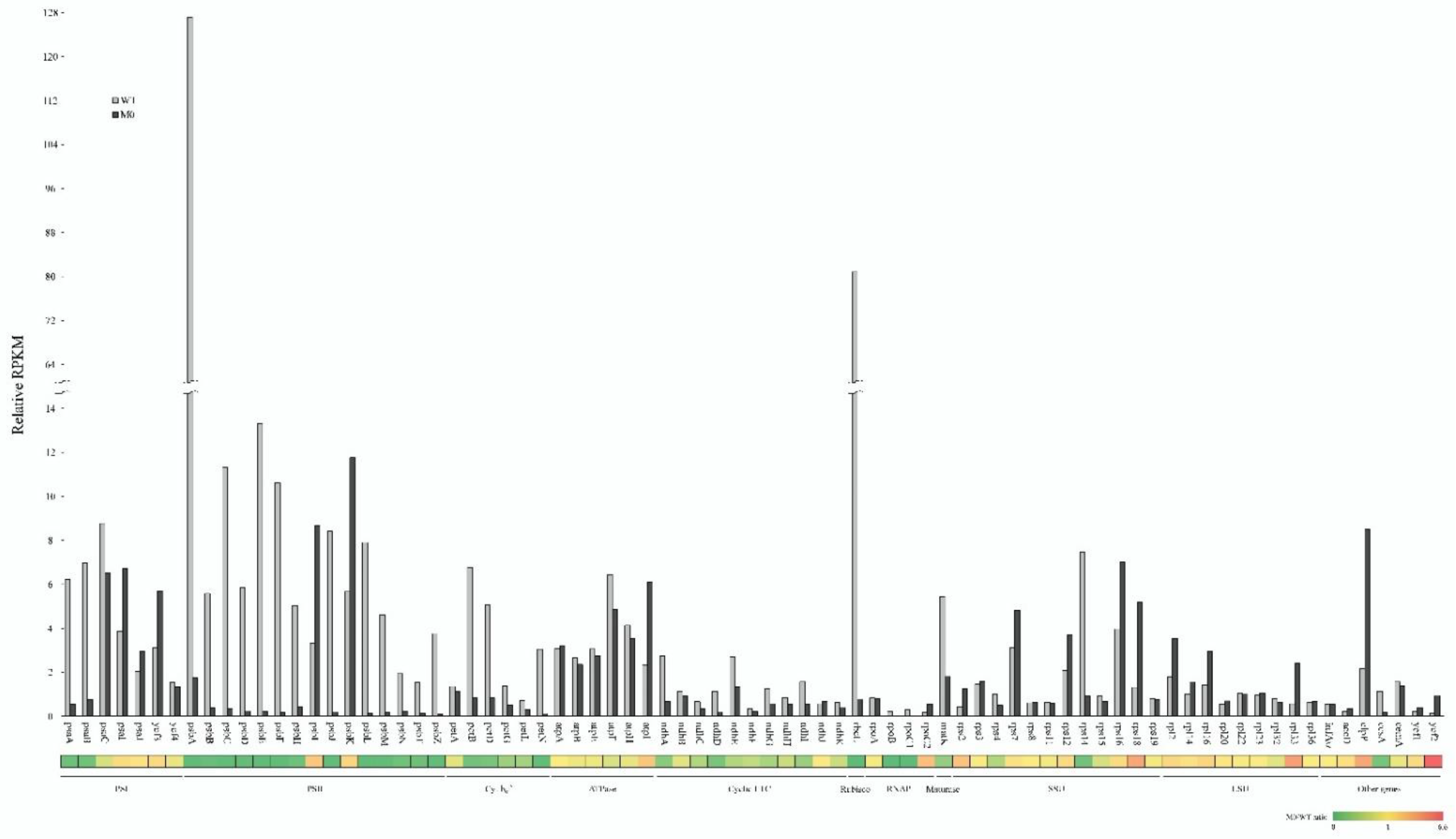 Plants 11 02860 g001 Plants 11 02860 g001