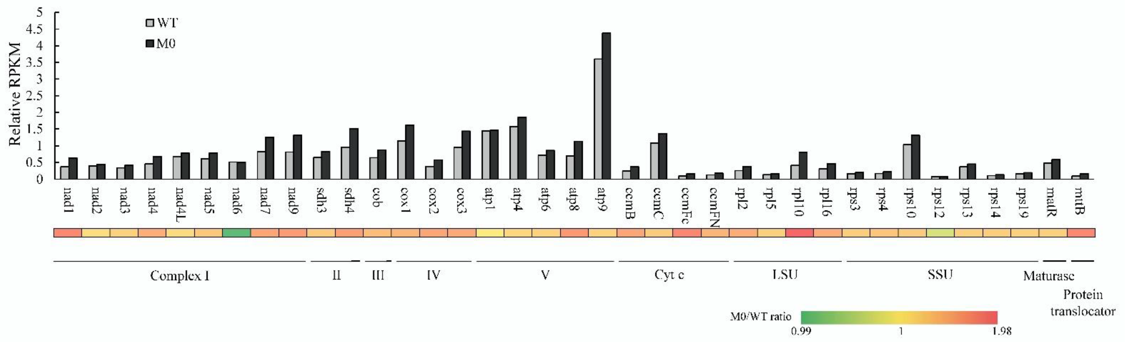 Plants 11 02860 g003 Plants 11 02860 g003