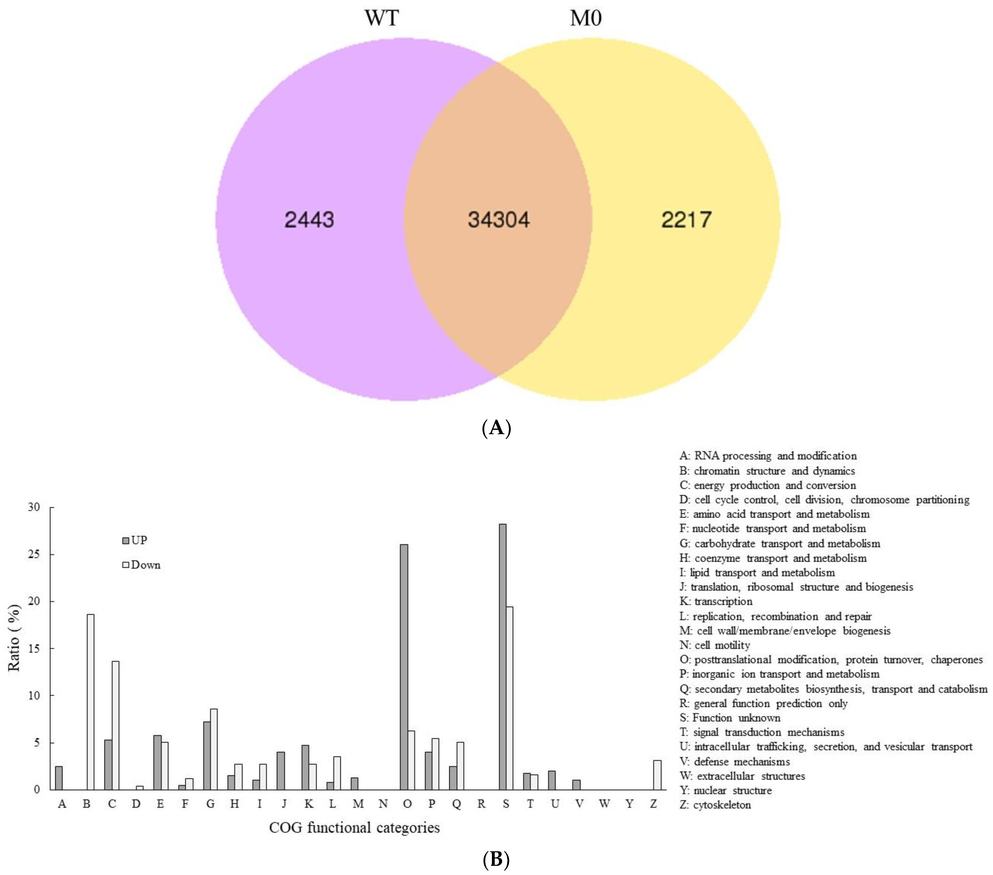 Plants 11 02860 g004 Plants 11 02860 g004