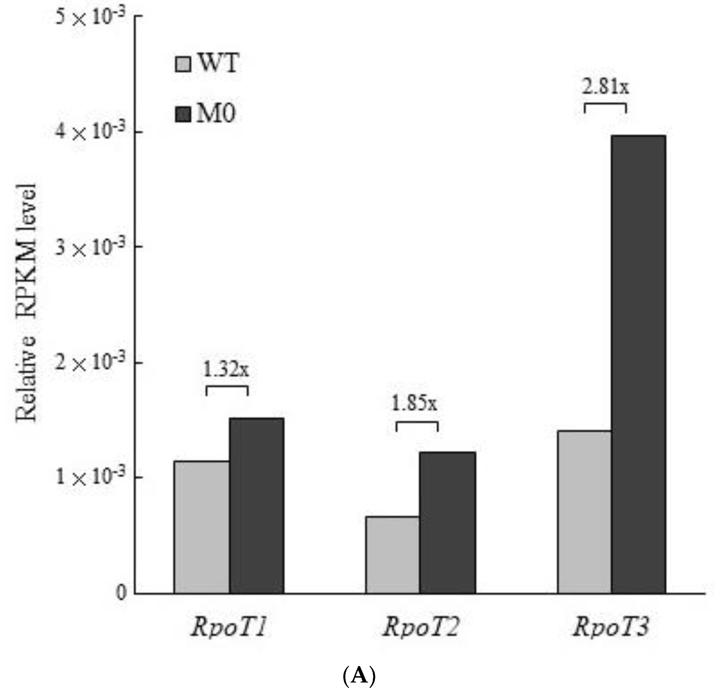 Plants 11 02860 g005a Plants 11 02860 g005a