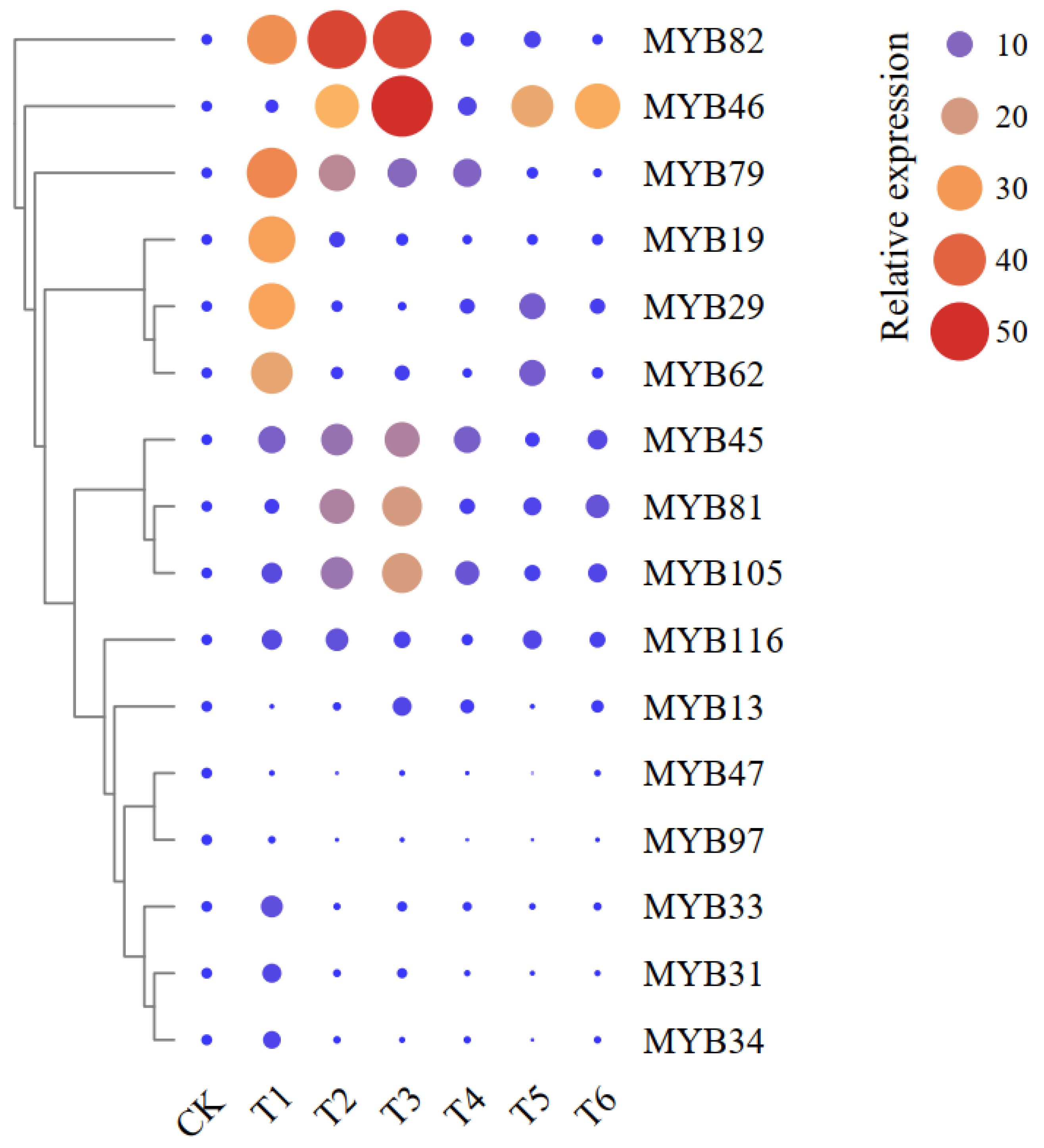 Plants 11 02869 g002 Plants 11 02869 g002