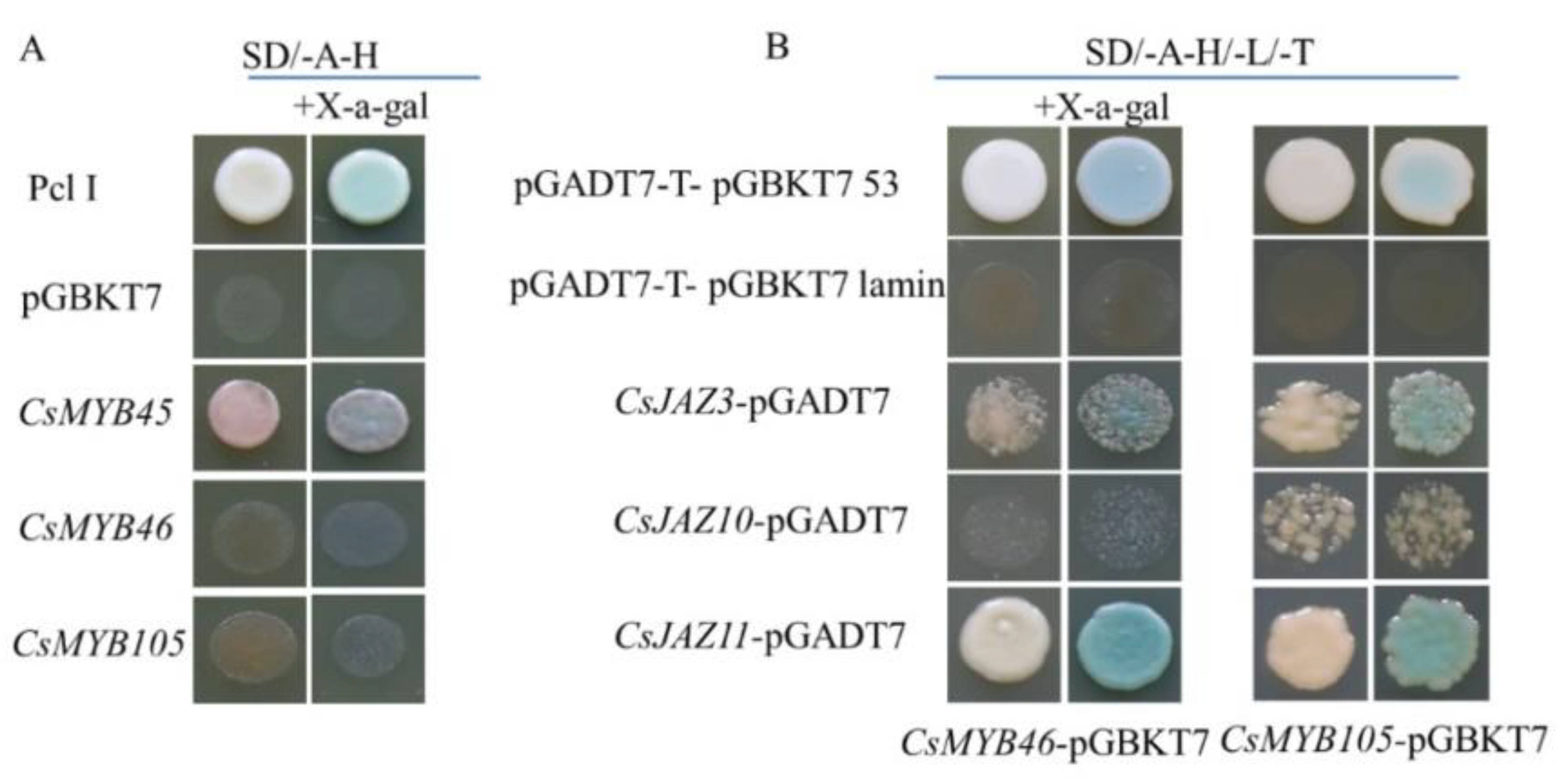 Plants 11 02869 g006a Plants 11 02869 g006a