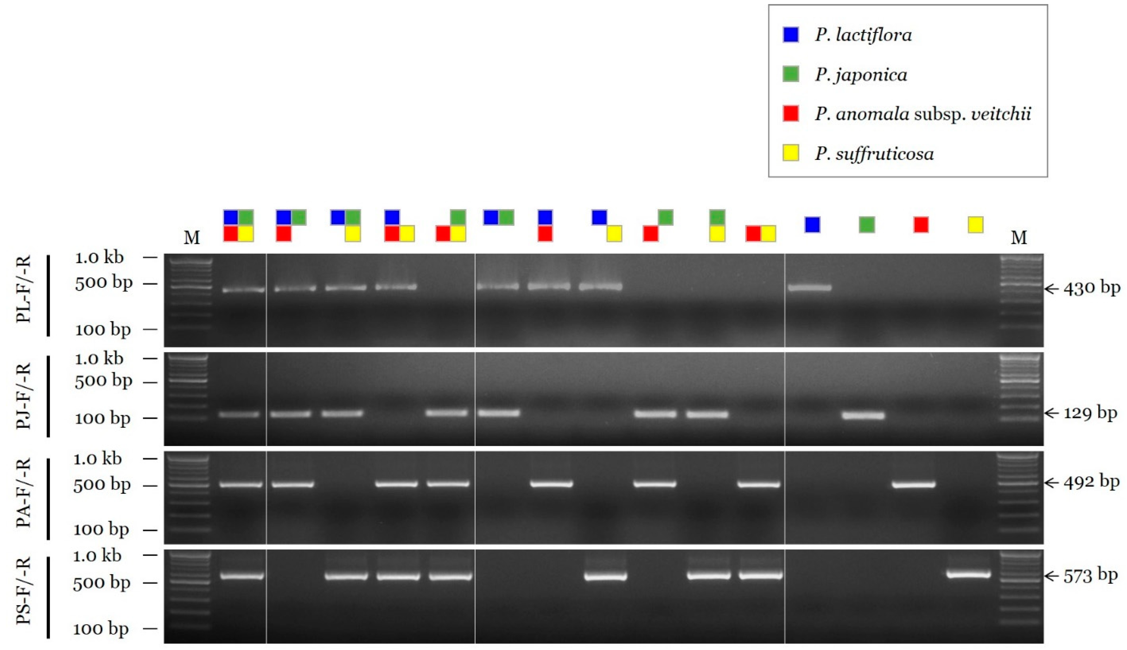 Plants 11 02870 g003