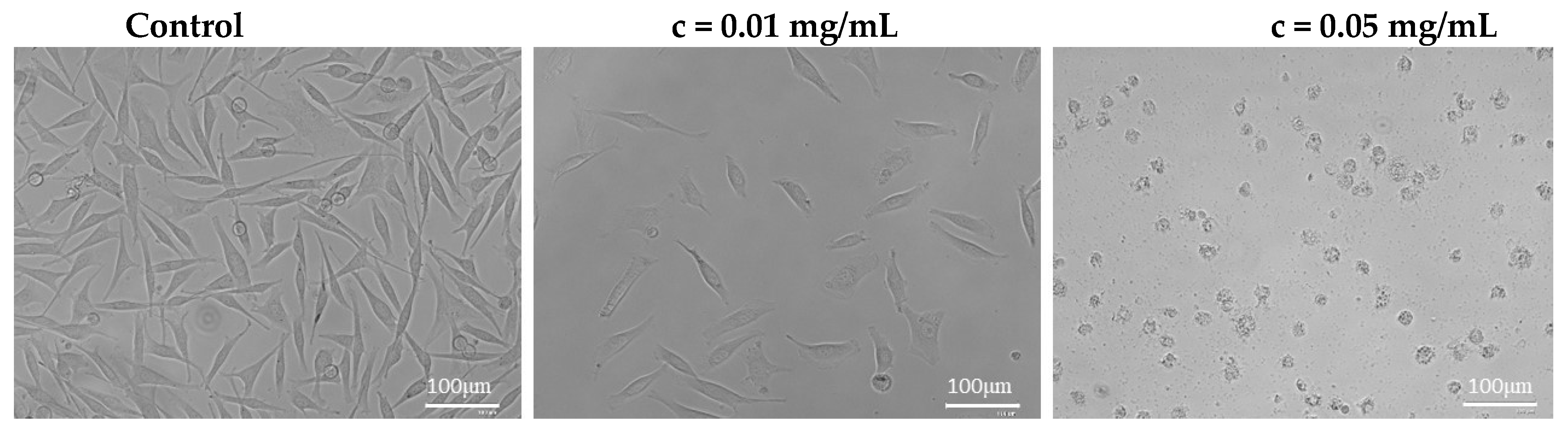 Plants 11 02872 g004