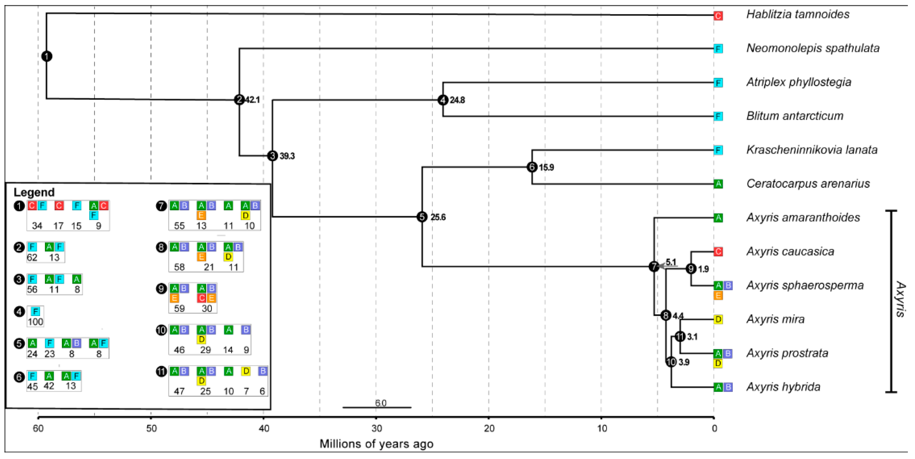 Plants 11 02873 g007