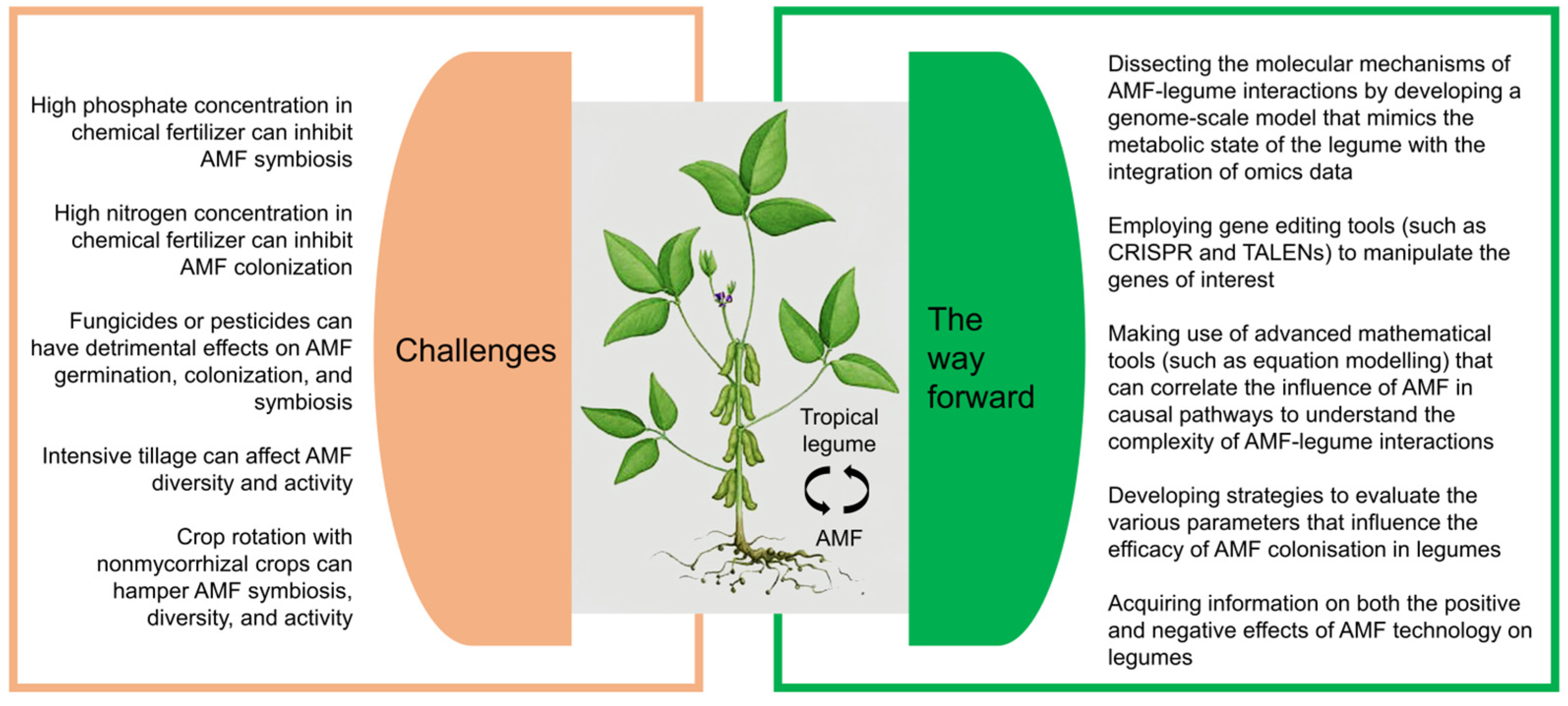 Plants 11 02875 g002