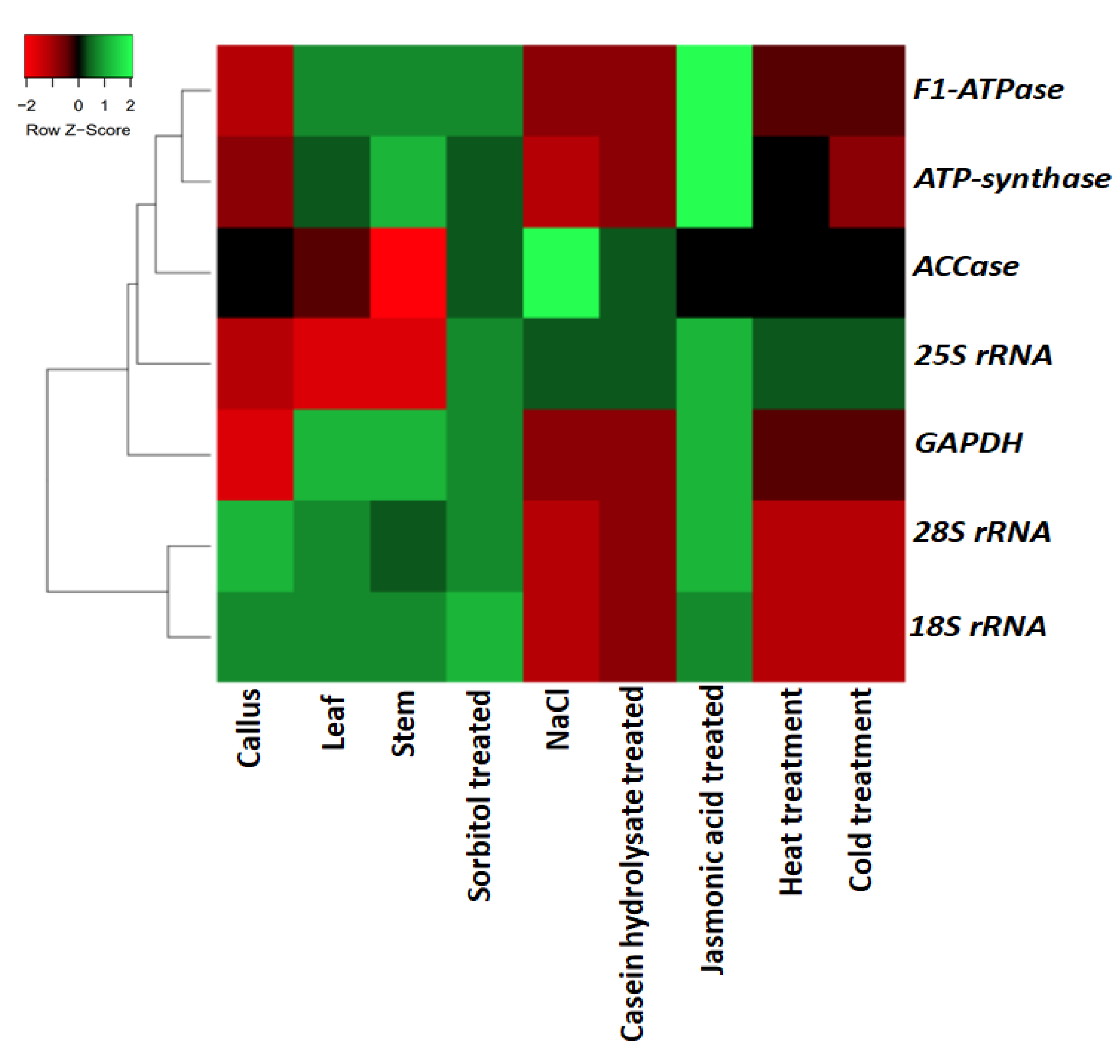 Plants 11 02878 g004 Plants 11 02878 g004