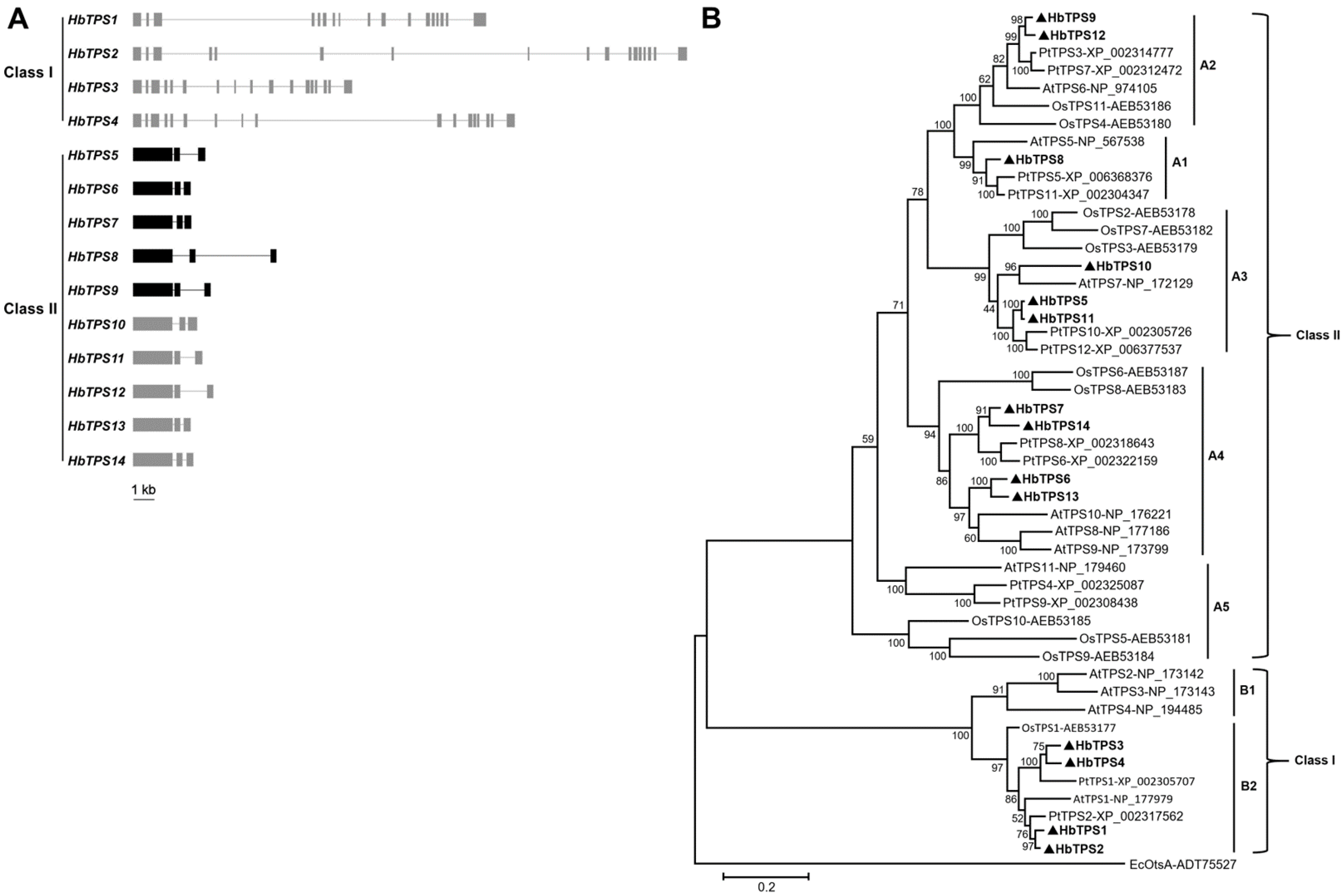 Plants 11 02879 g001
