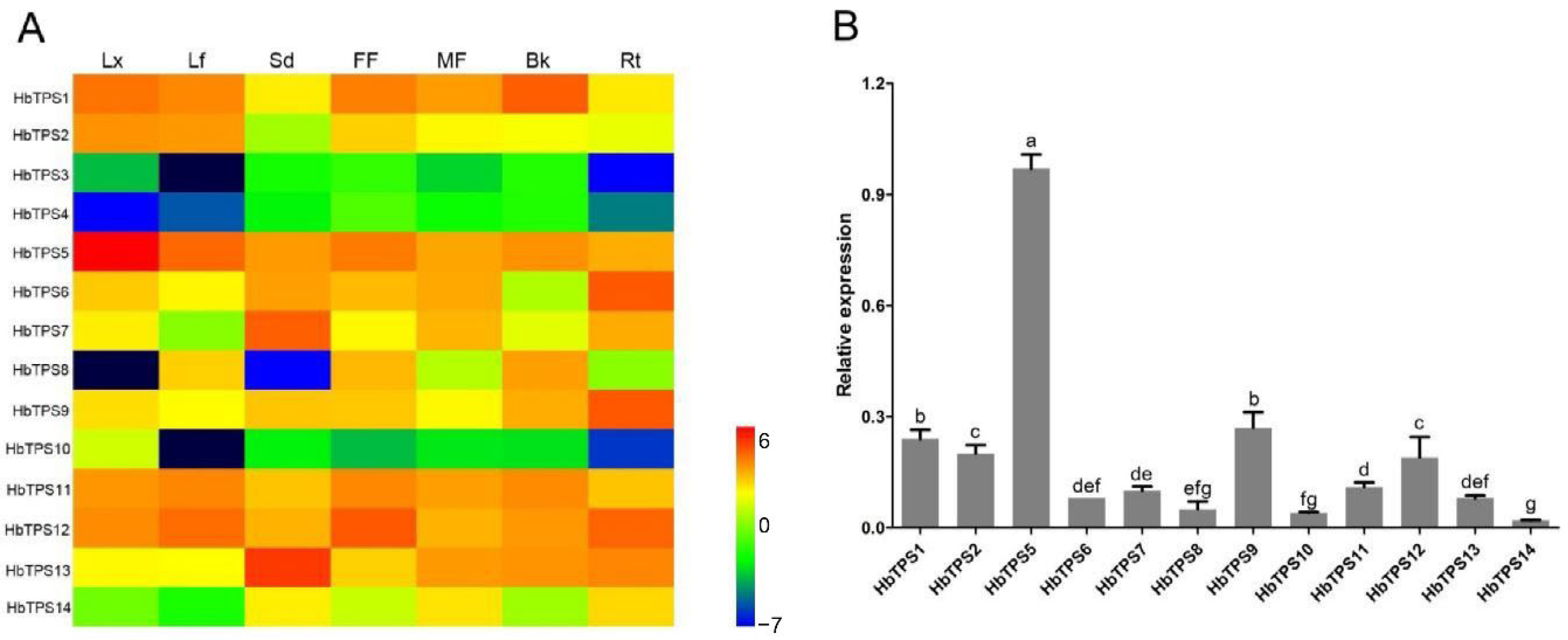 Plants 11 02879 g002